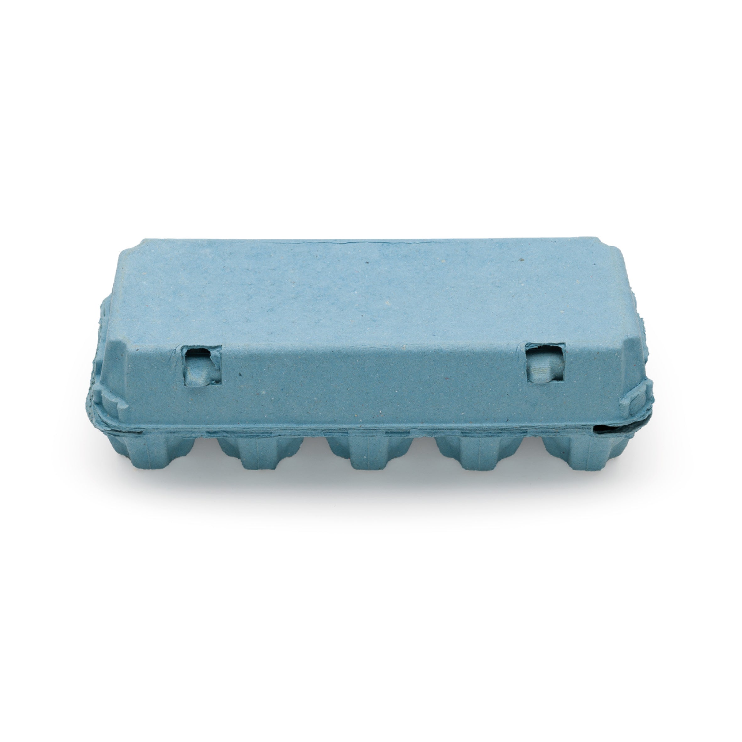 EcoPack 10er Eierschachtel, blau