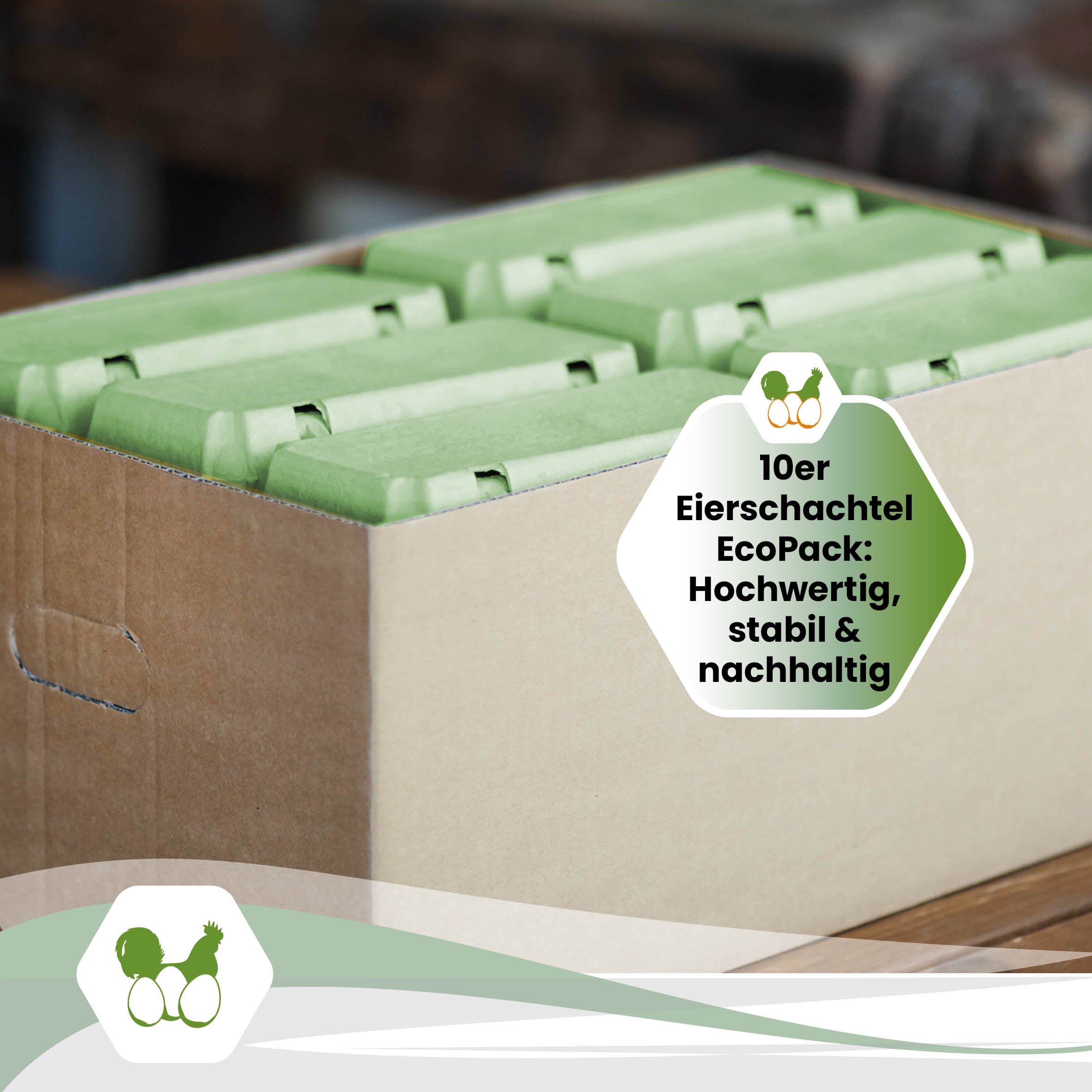 1 Stück EcoPack 10er Eierschachtel in vier Farben