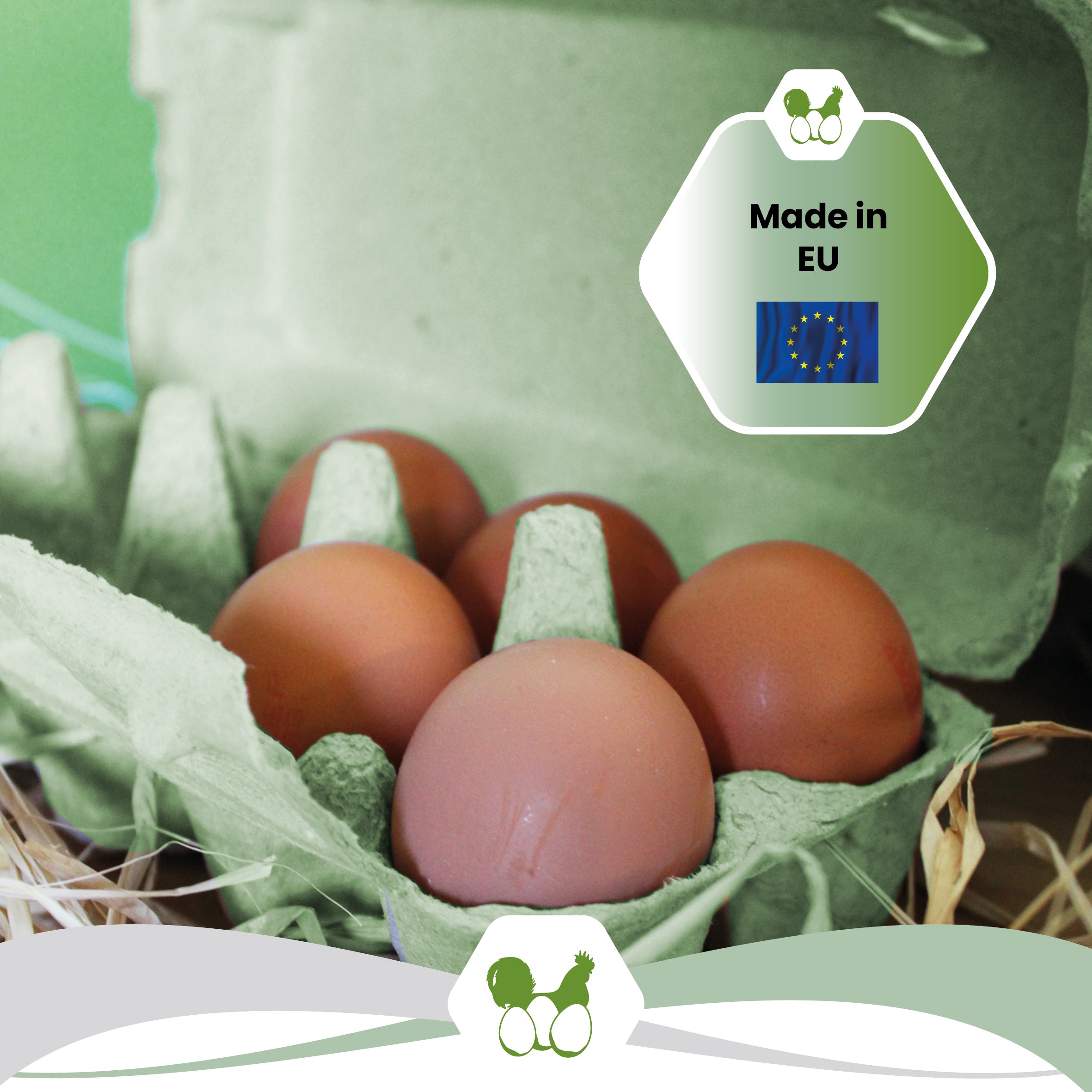 EcoPack 10er mit eigenem Etikett, grün "Made in EU"