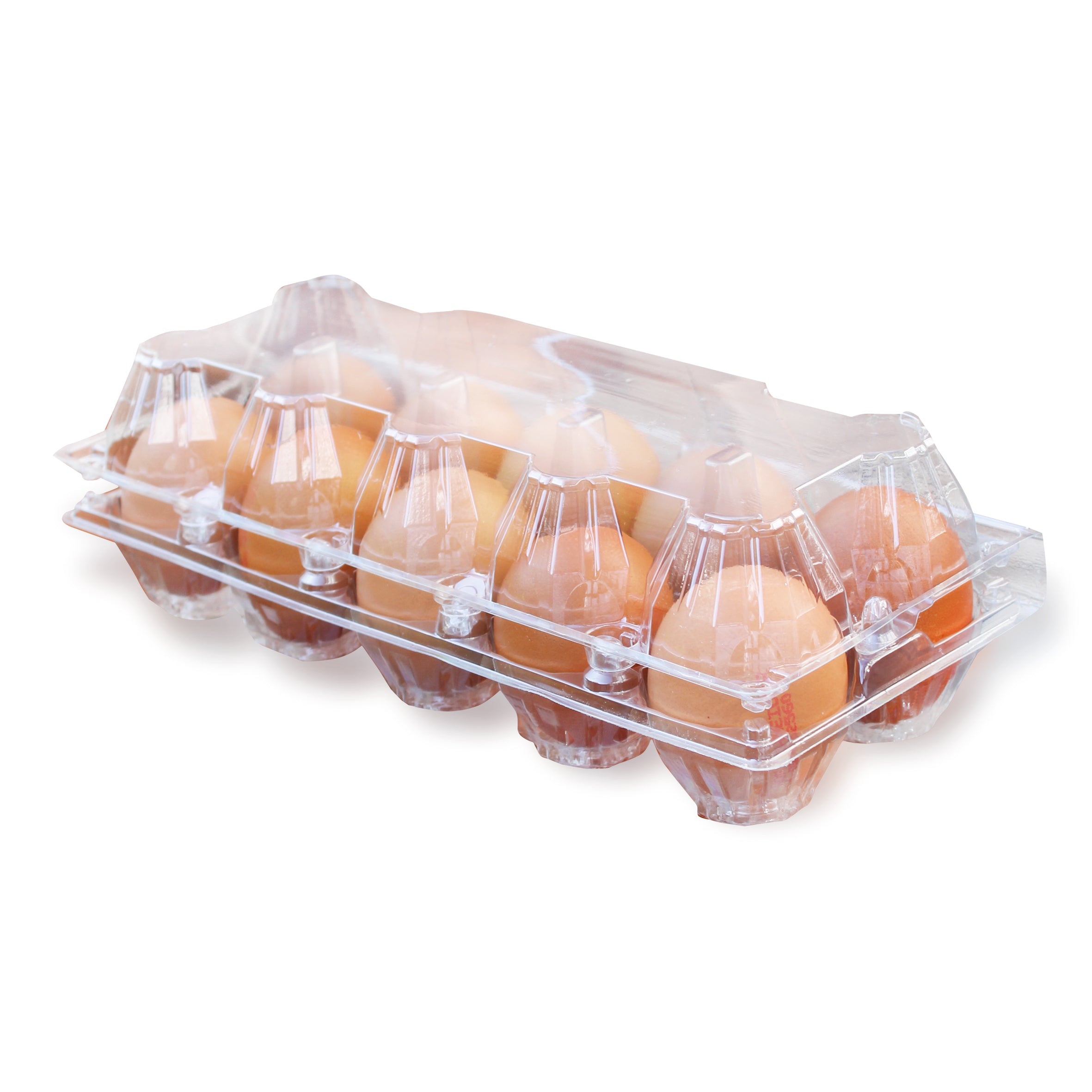10er PET Eierverpackungen, transparent mit braunen Eiern