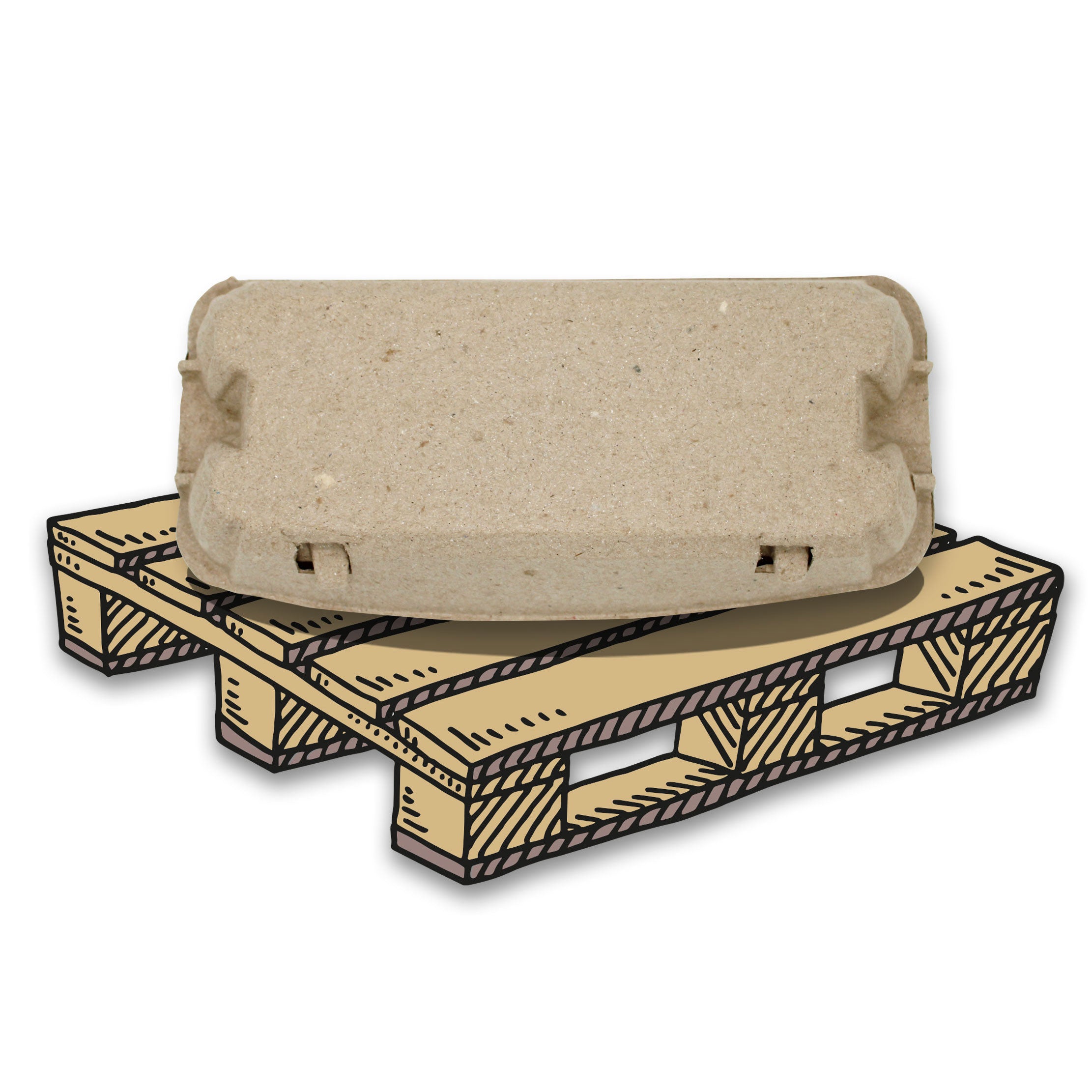 EuroPack 10er Eierschachtel Palette