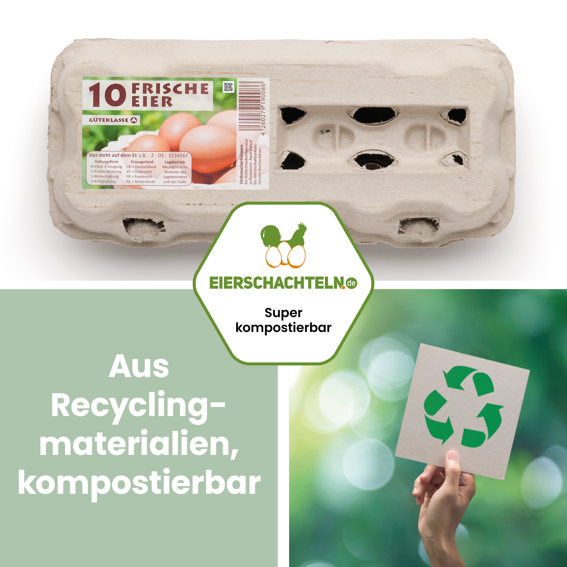 1 Stück 10er TopView Eierschachtel mit „Frische Eier“