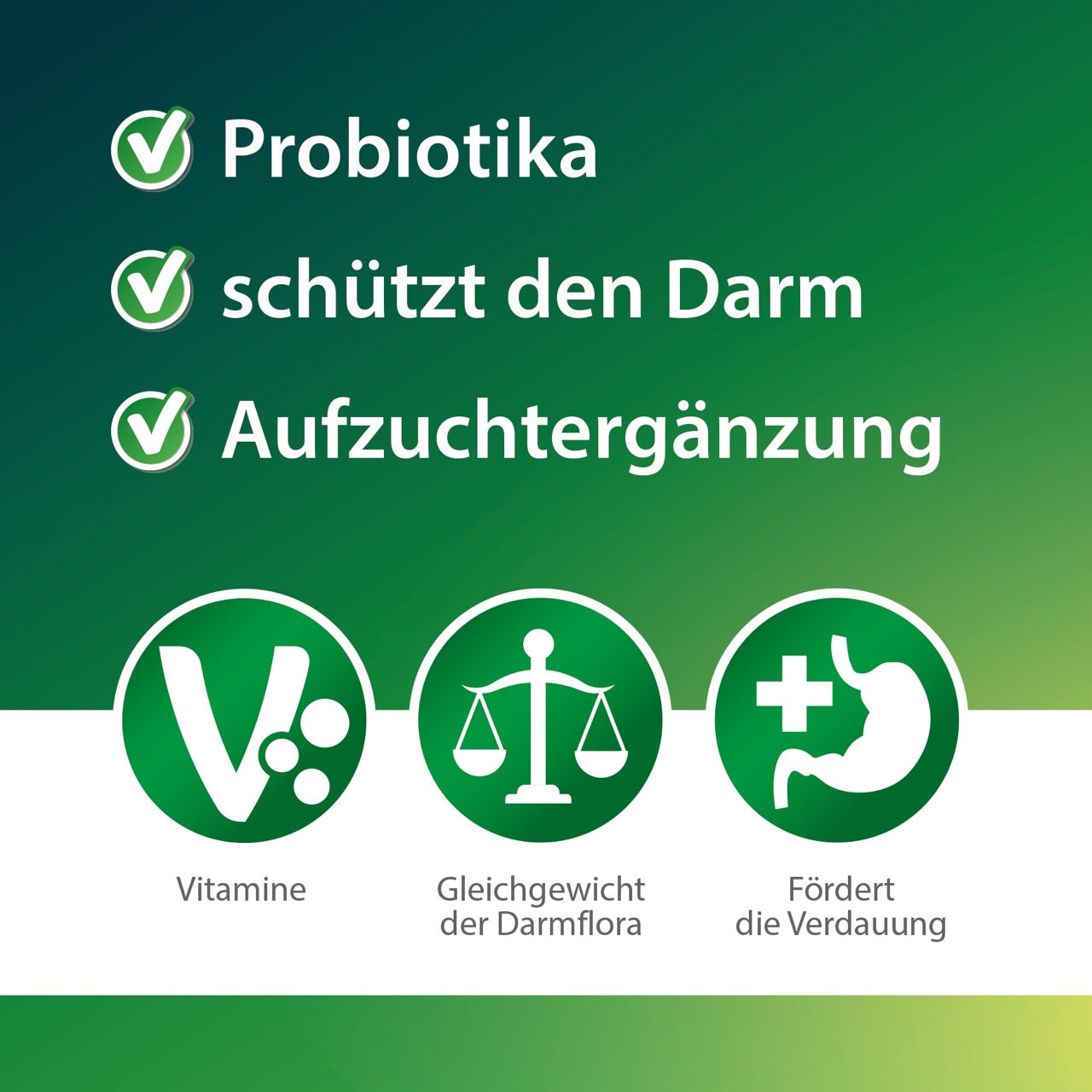 Kükenglück 2.0 "Probiotika, schützt den Darm, Aufzuchtsergänzung"