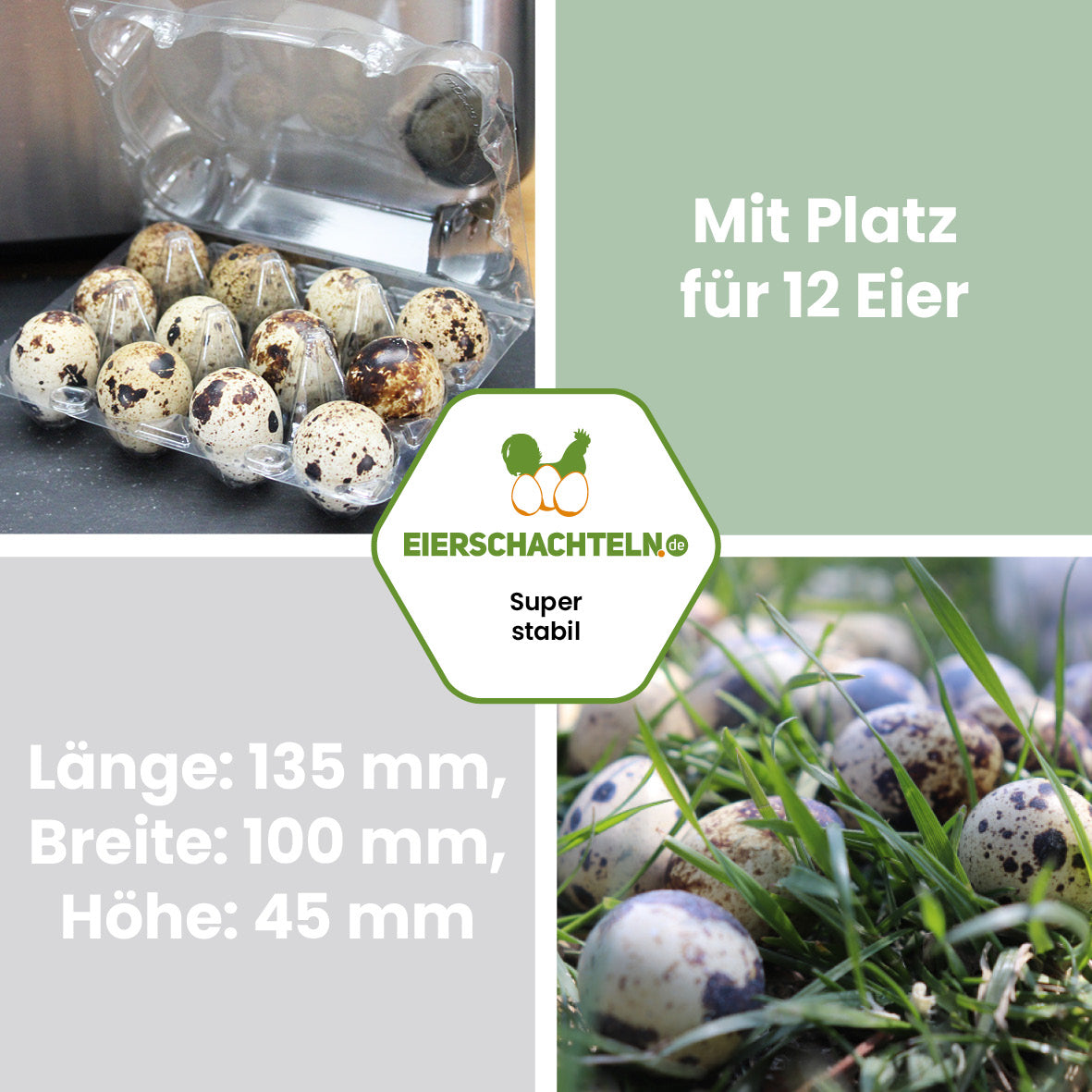 12er Wachteleierverpackung aus PET Kunststoff "Mit Platz für 12 Eier Länge: 135 mm, Breite: 100 mm, Höhe: 45 mm"