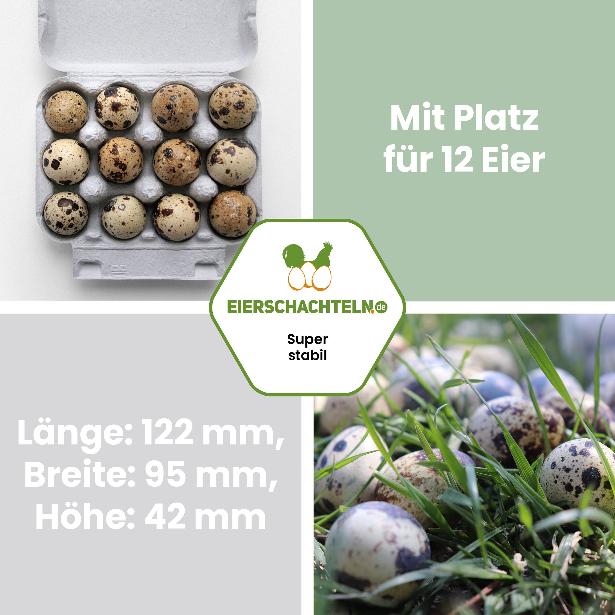 12er Wachteleierschachtel "Mit Platz für 12 Eier Länge: 122 mm, Breite: 95 mm, Höhe: 42 mm"