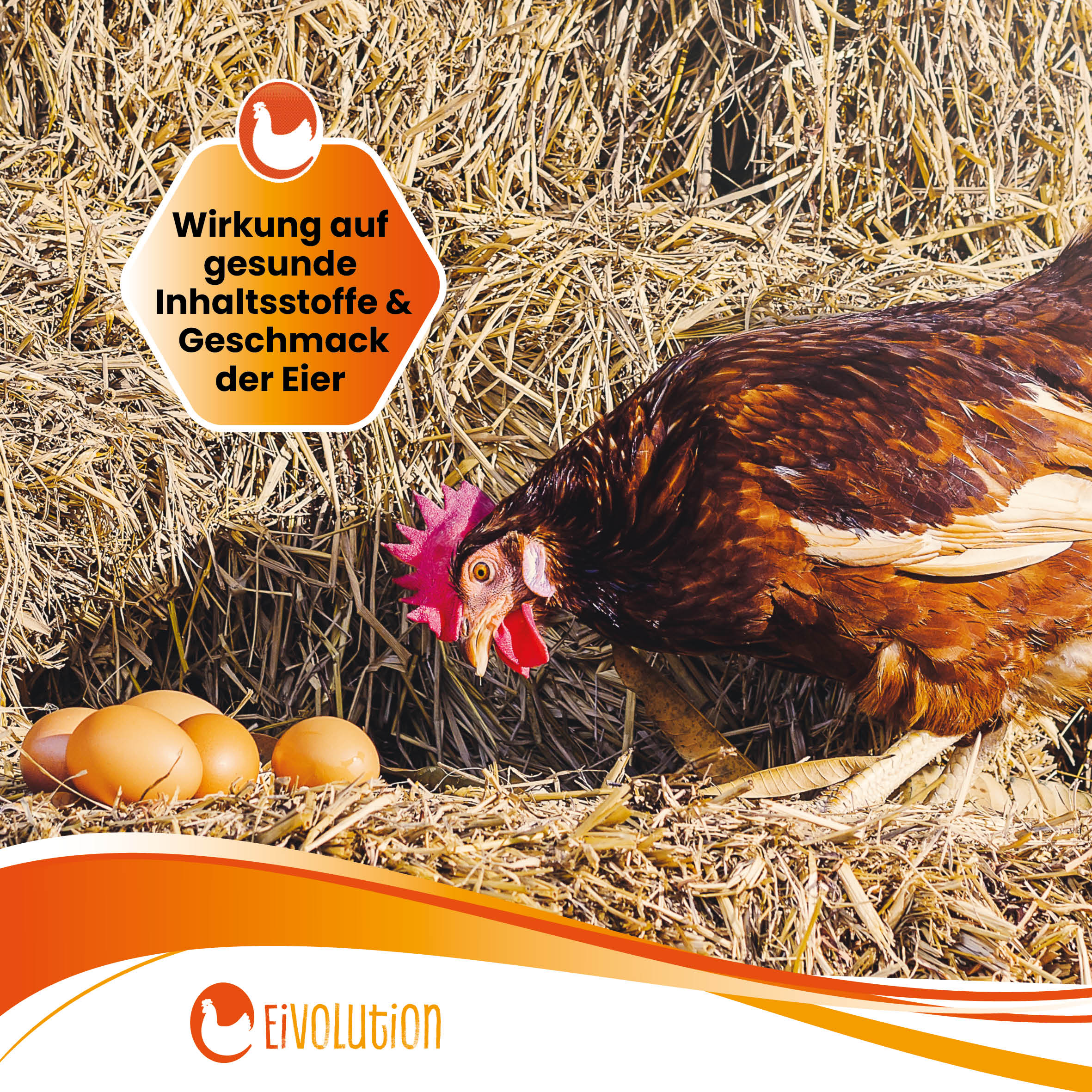 Bio Hühnerfutter Pellets ohne Soja mit Hanf "Wirkung auf gesunde Inhaltsstoffe & Geschmack der Eier"