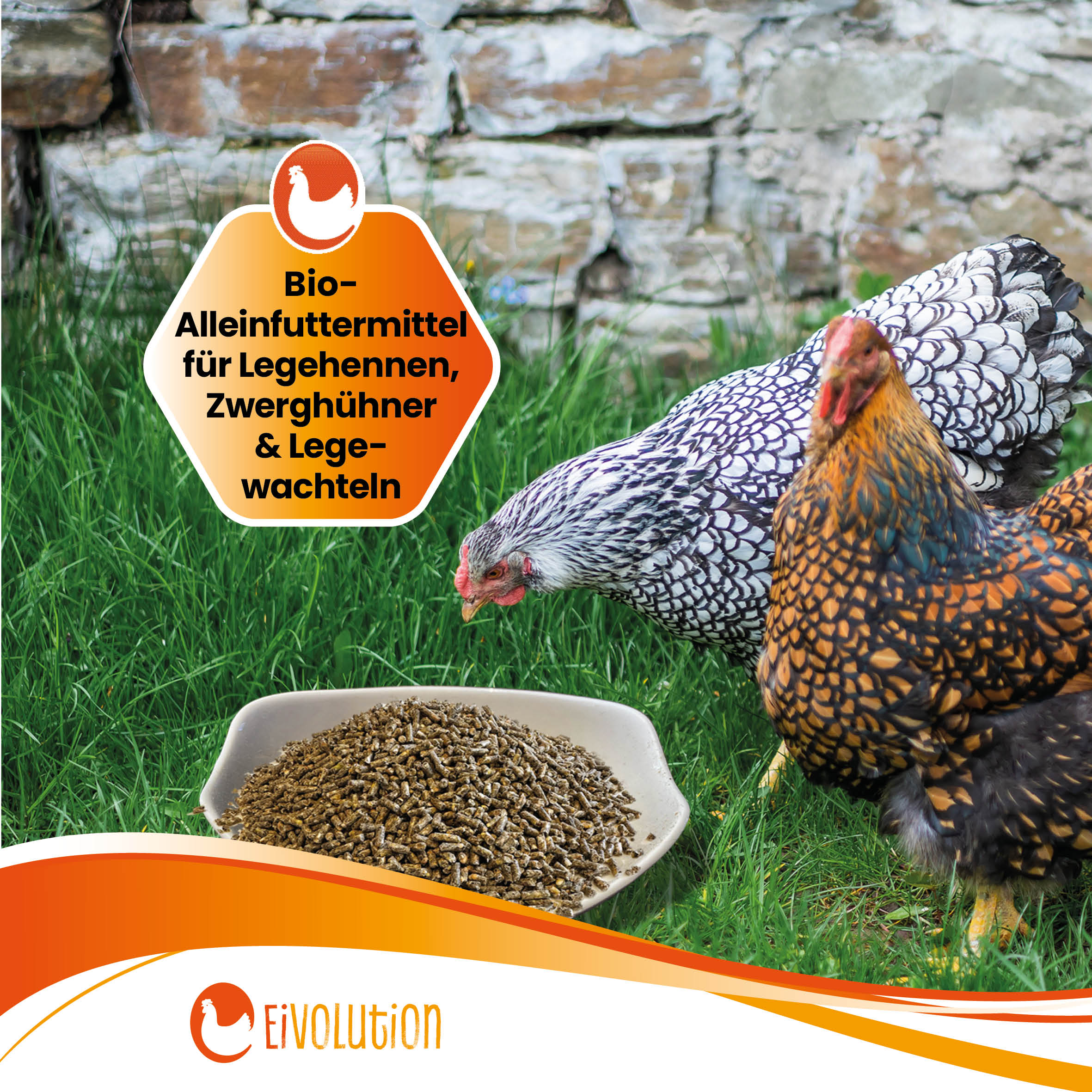 Bio Hühnerfutter Pellets ohne Soja mit Hanf "Bio-Alleinfuttermittel für Legehennen, Zwerghühner & Legewachteln"