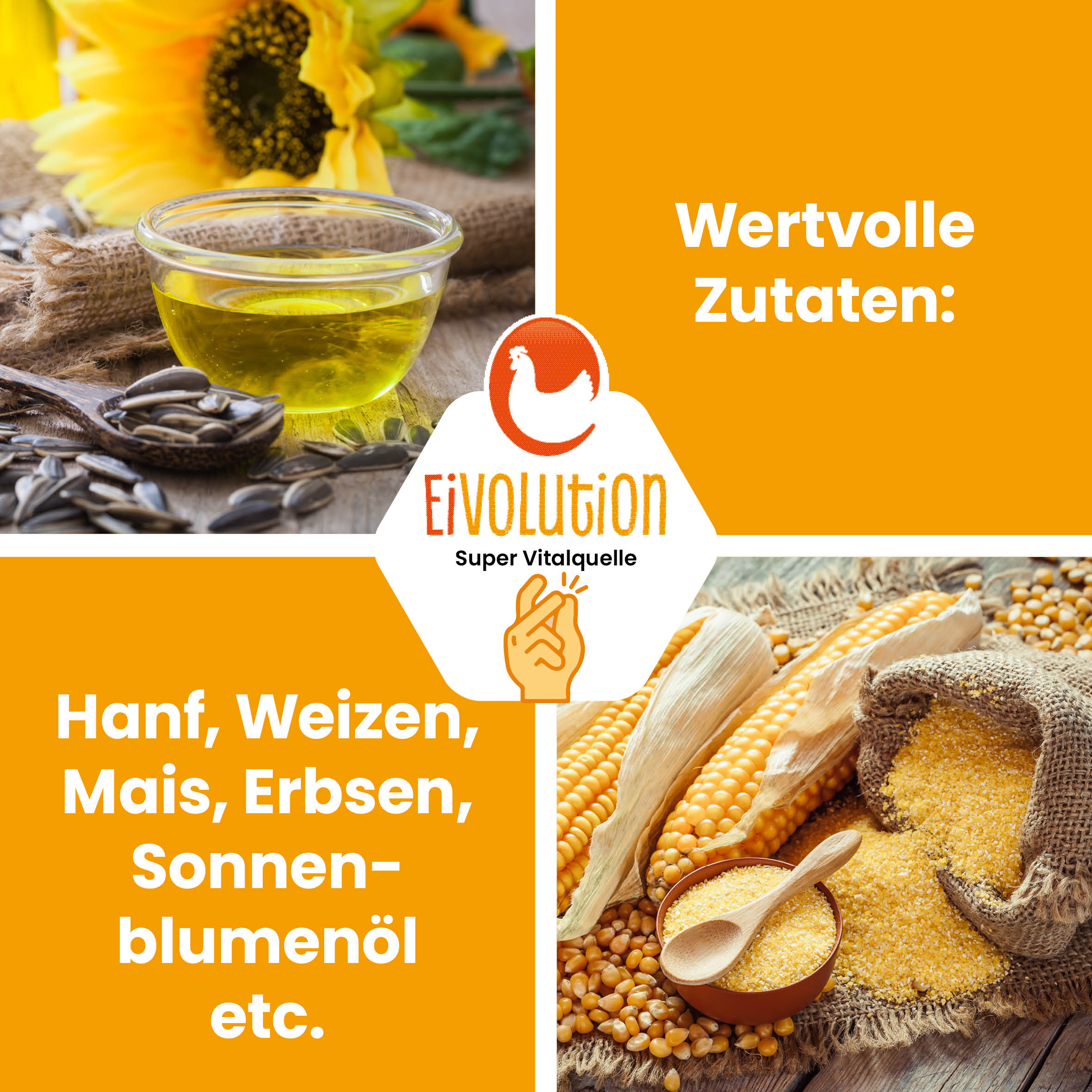 Bio Hühnerfutter Pellets ohne Soja mit Hanf "Wertvolle Zutaten: Hanf, Weizen, Mais, Erbsen, Sonnenblumenöl etc."