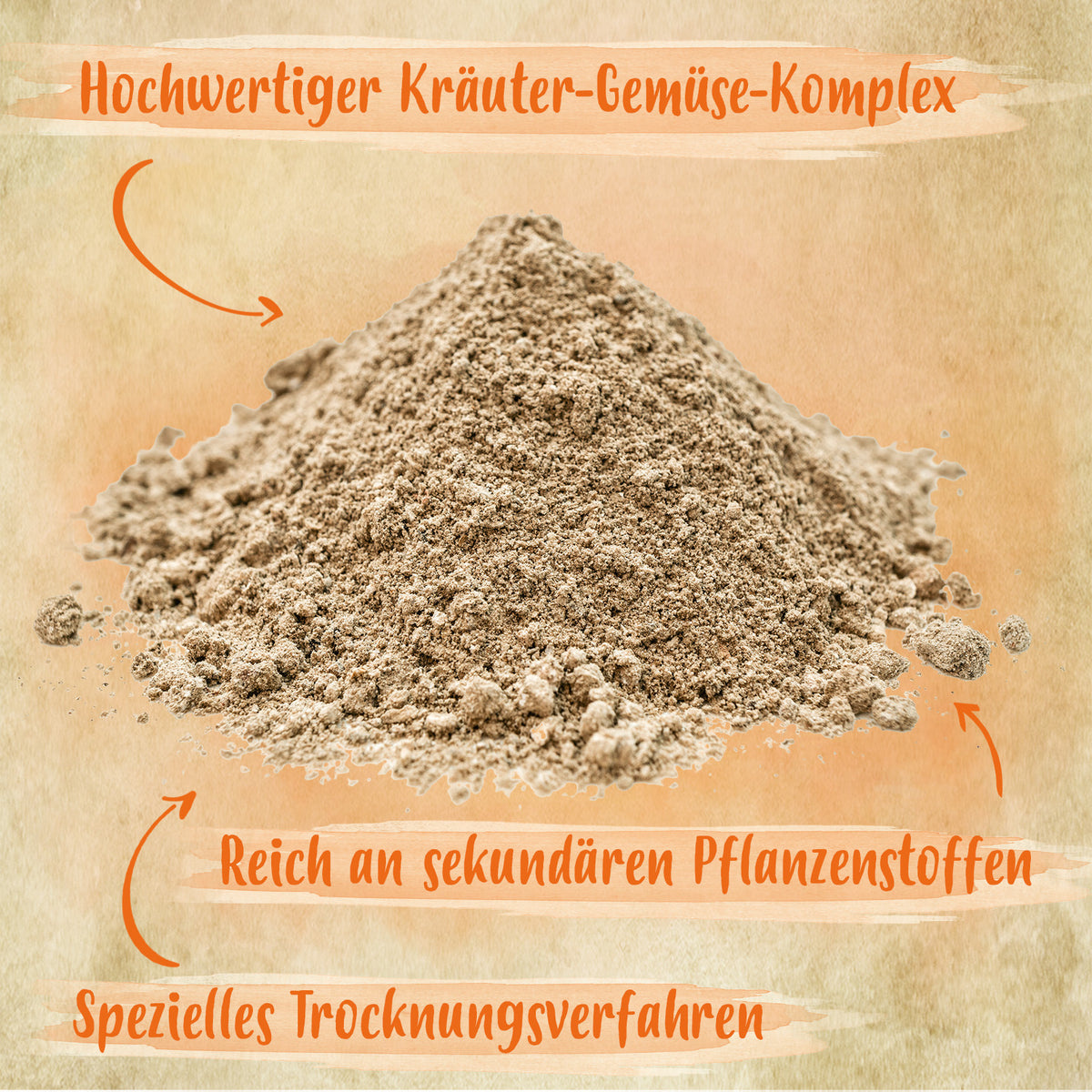 Power Herbs IdaPlus, 500 g "Hochwertiger Kräuter- Gemüse- Komplex, reich an sekundären Pflanzenstoffen, Spezielles Trocknungsverfahren"