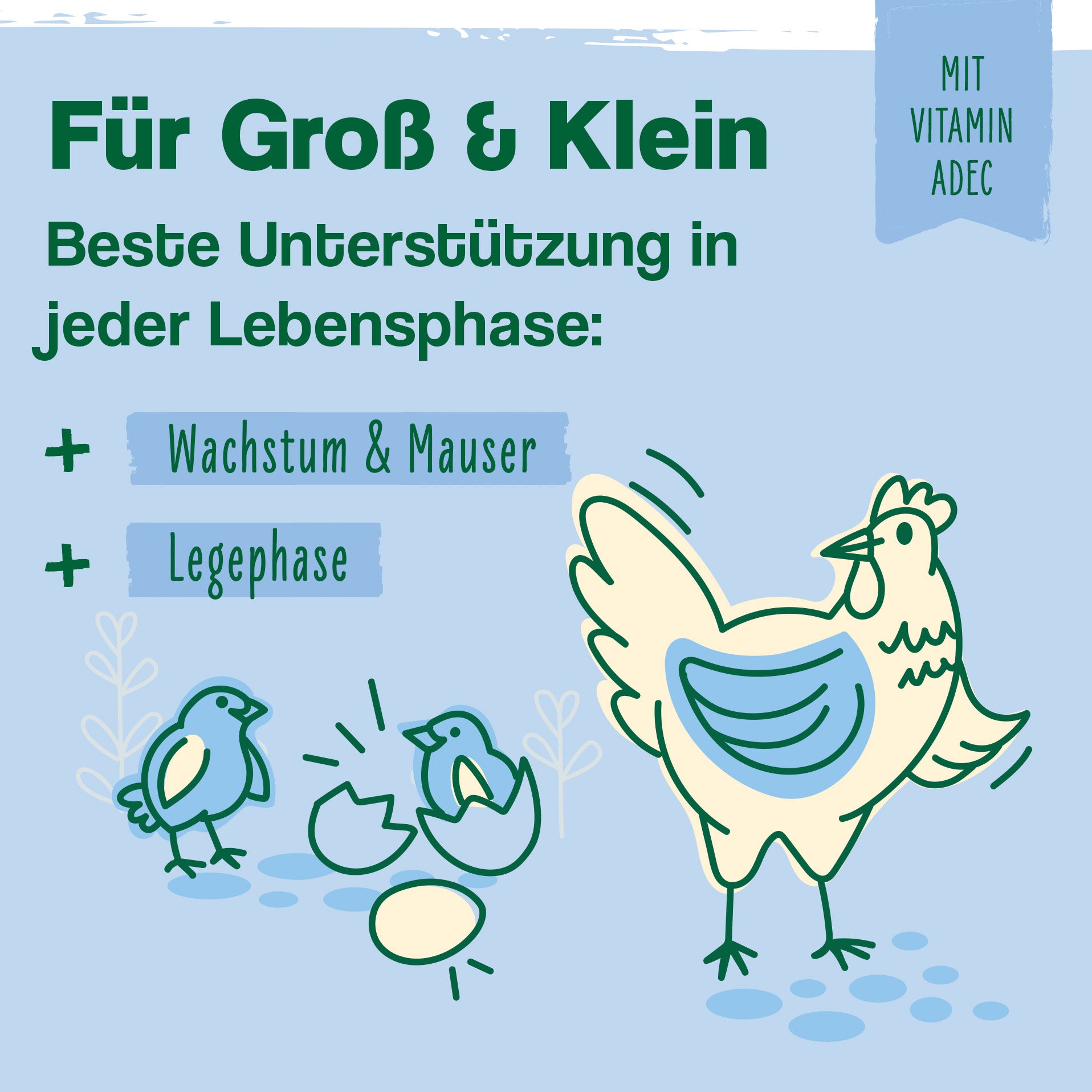 Hühner-Vitamin 4in1 – Vitaminkonzentrat mit Vitamin ADEC für starke Abwehrkräfte