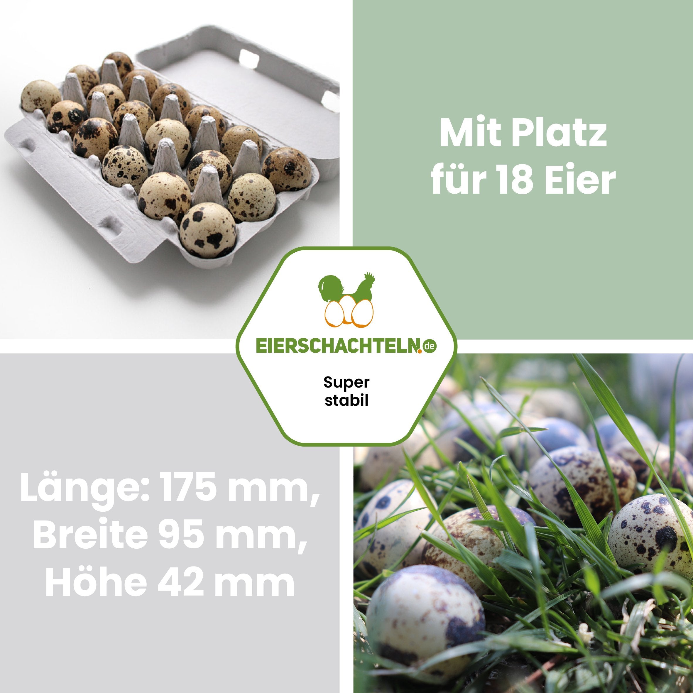 18er Wachteleierverpackung "Mit Platz für 18 Eier Länge: 175 mm, Breite: 95 mm, Höhe 42 mm"