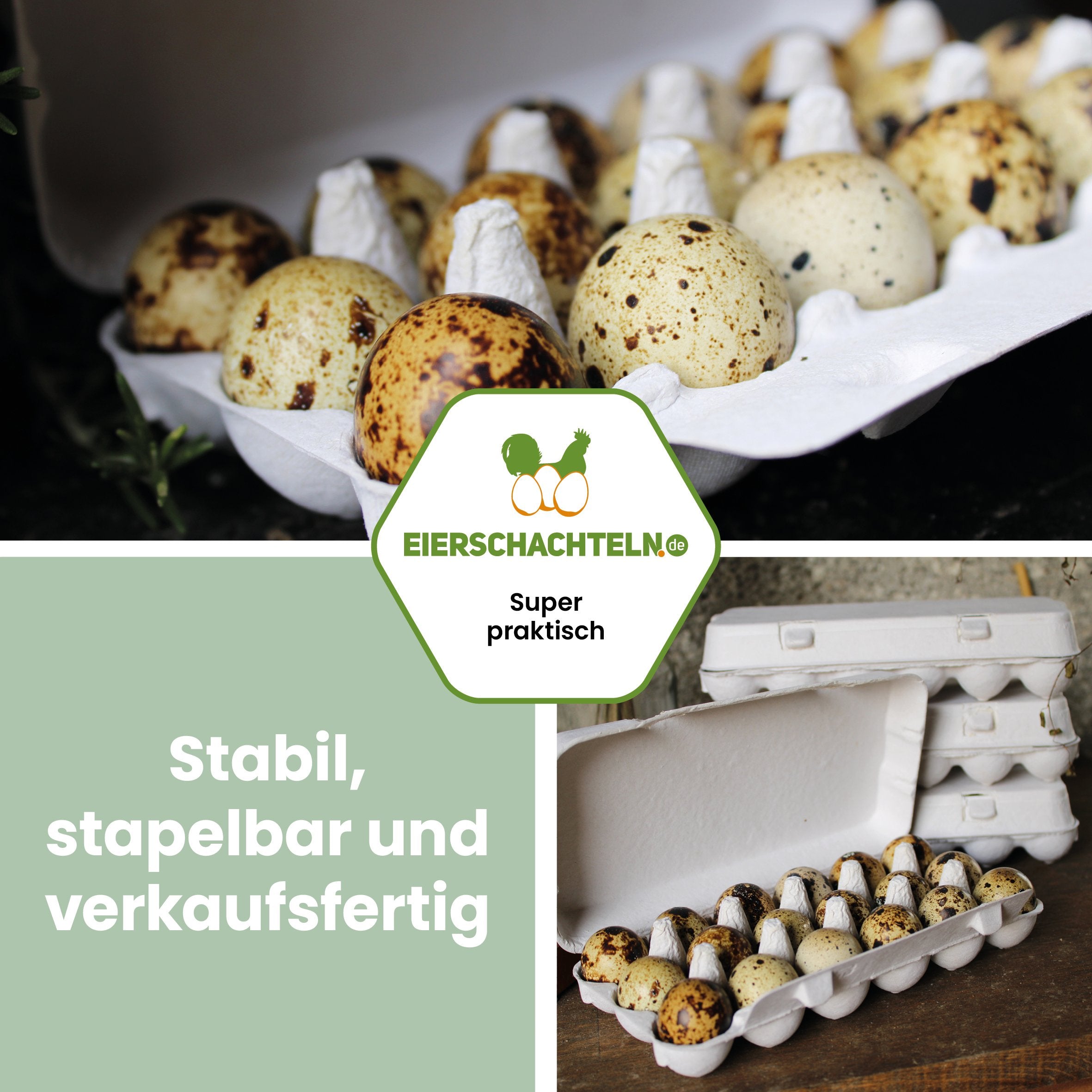 18er Wachteleierverpackung "Stabil, stapelbar und verkaufsfertig"