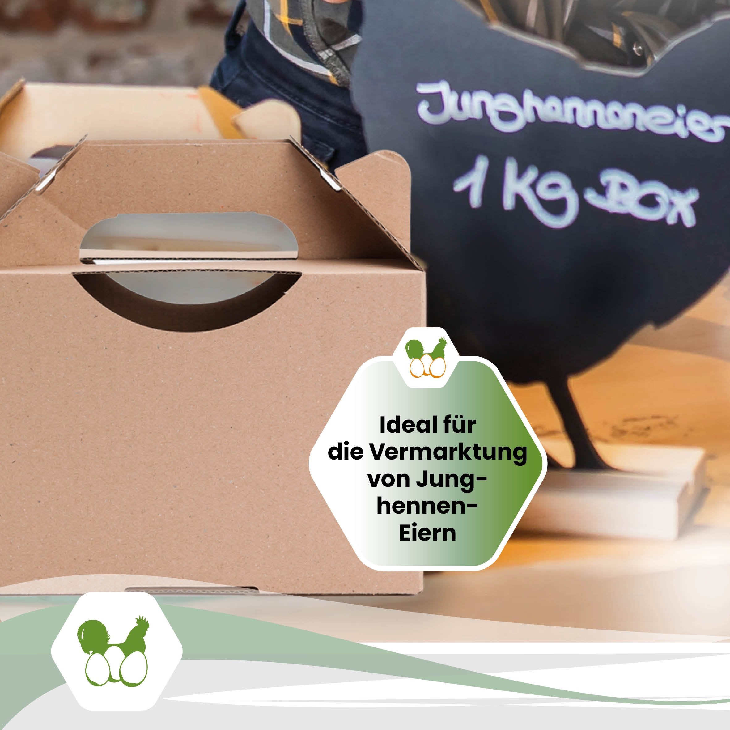 1 kg Eierbox neutral "Ideal für die Vermarktung von Junghennen-Eiern"