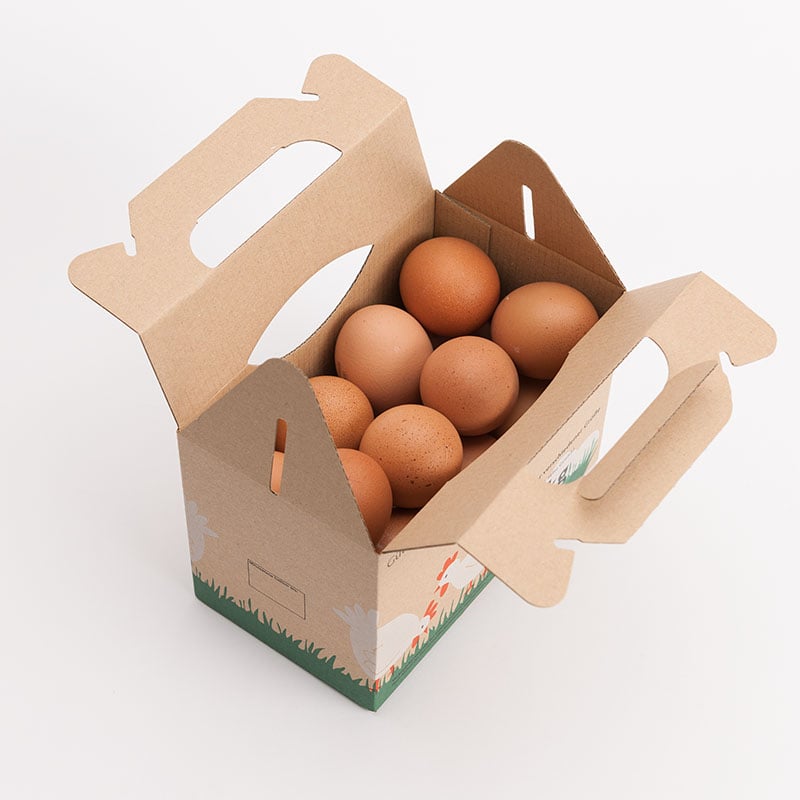 1 kg Eierbox mit Aufdruck, Vogelperspektive geöffnet mit Eiern gefüllt
