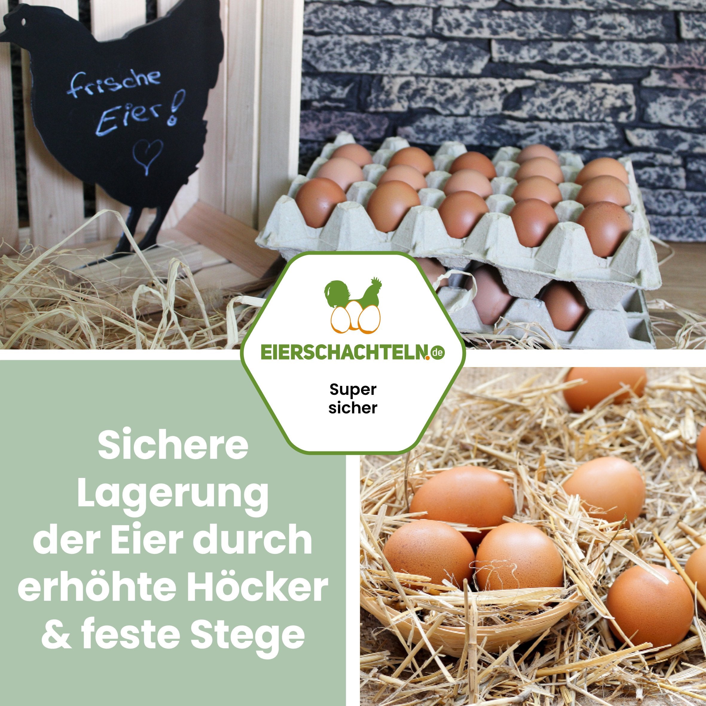20er Höckerlagen "Sichere Lagerung der Eier durch erhöhte Höcker & feste Stege"
