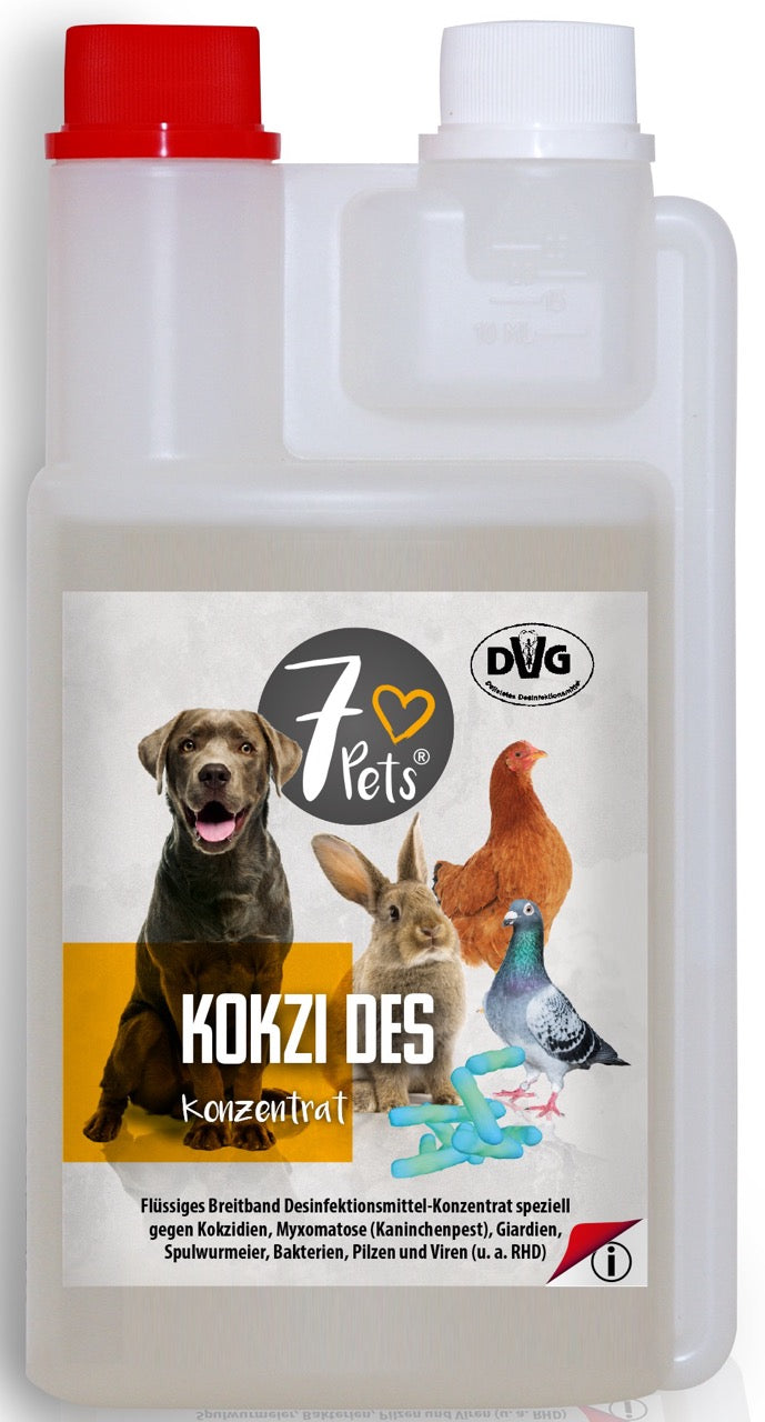 Kokzi Des 250ml Konzentrat – Breitband-Wirkung bei einmaliger Anwendung