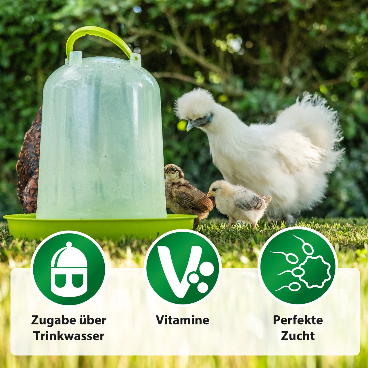 Vitamine ADEC "Zugabe über Trinkwasser" "Vitamine" "Perfekte Zucht"