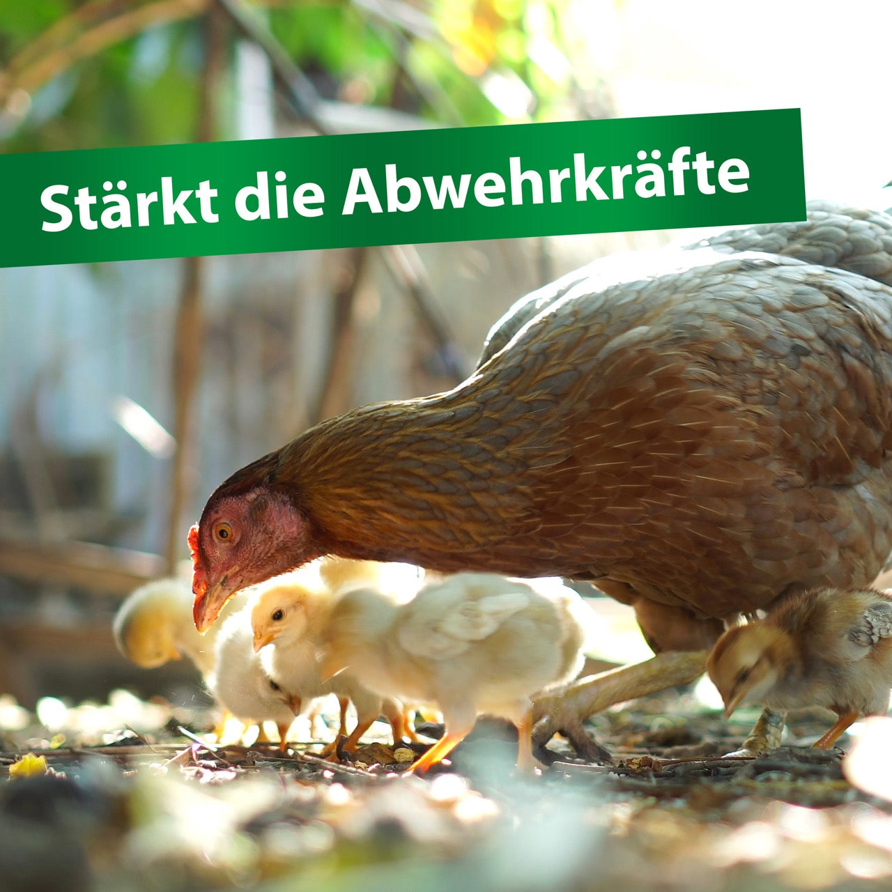 Vitamine ADEC "Stärkt die Abwehrkräfte"