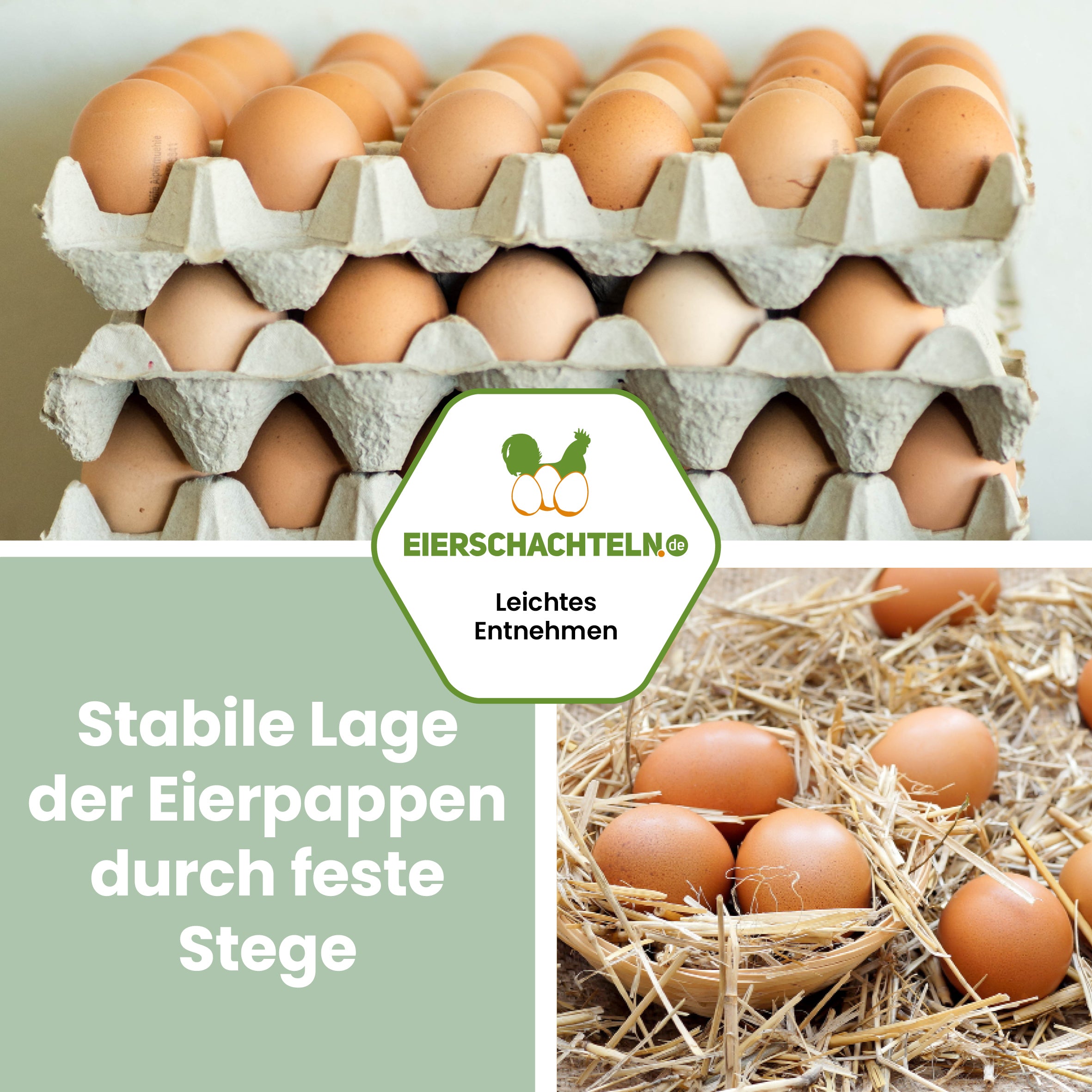 30er Eierpappen "Stabile Lage der Eierpappen durch feste Stege"