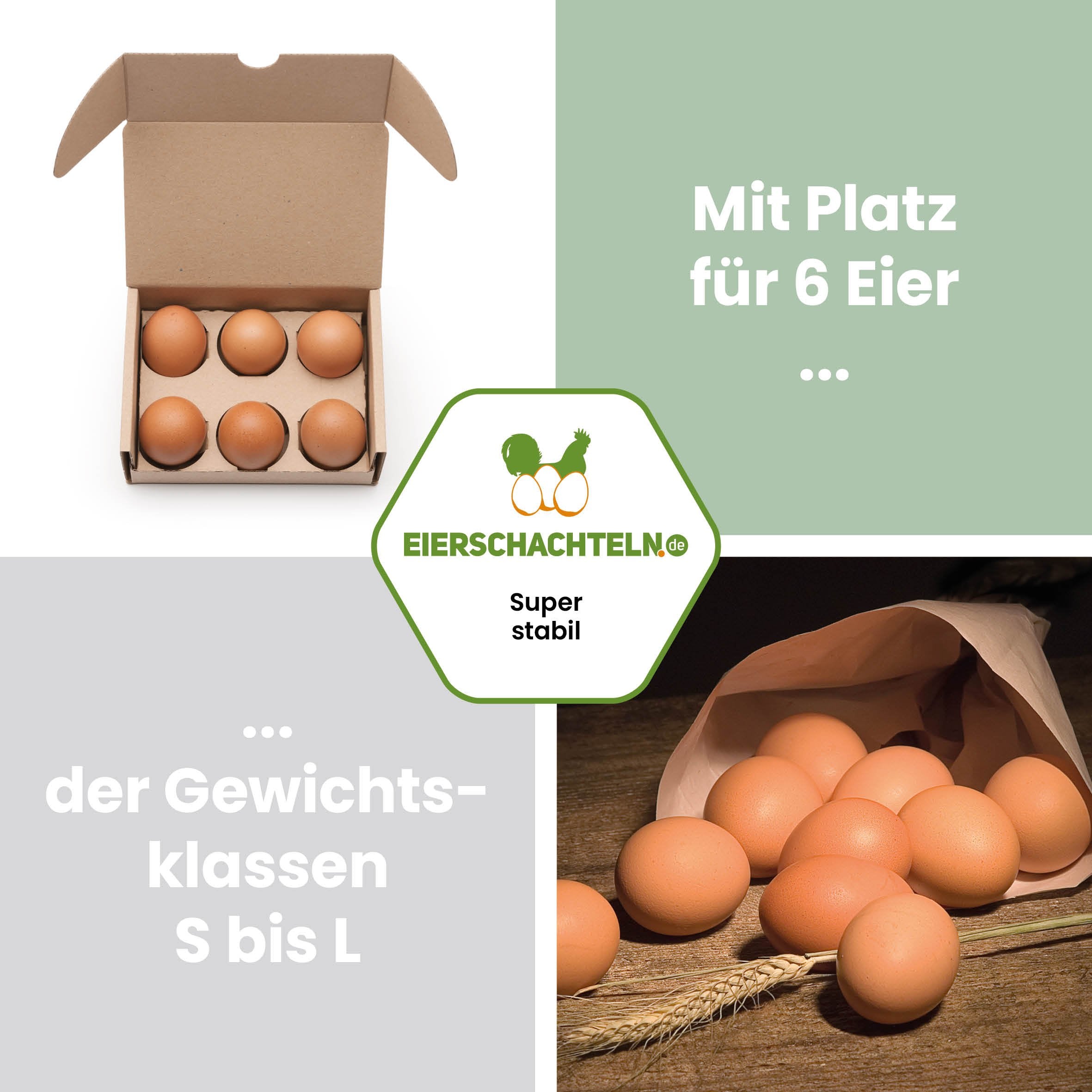 EckPack 6er Eierschachtel mit Direktdruck „Frische Eier“, "Mit Platz für 6 Eier der Gewichtsklassen S bis L"