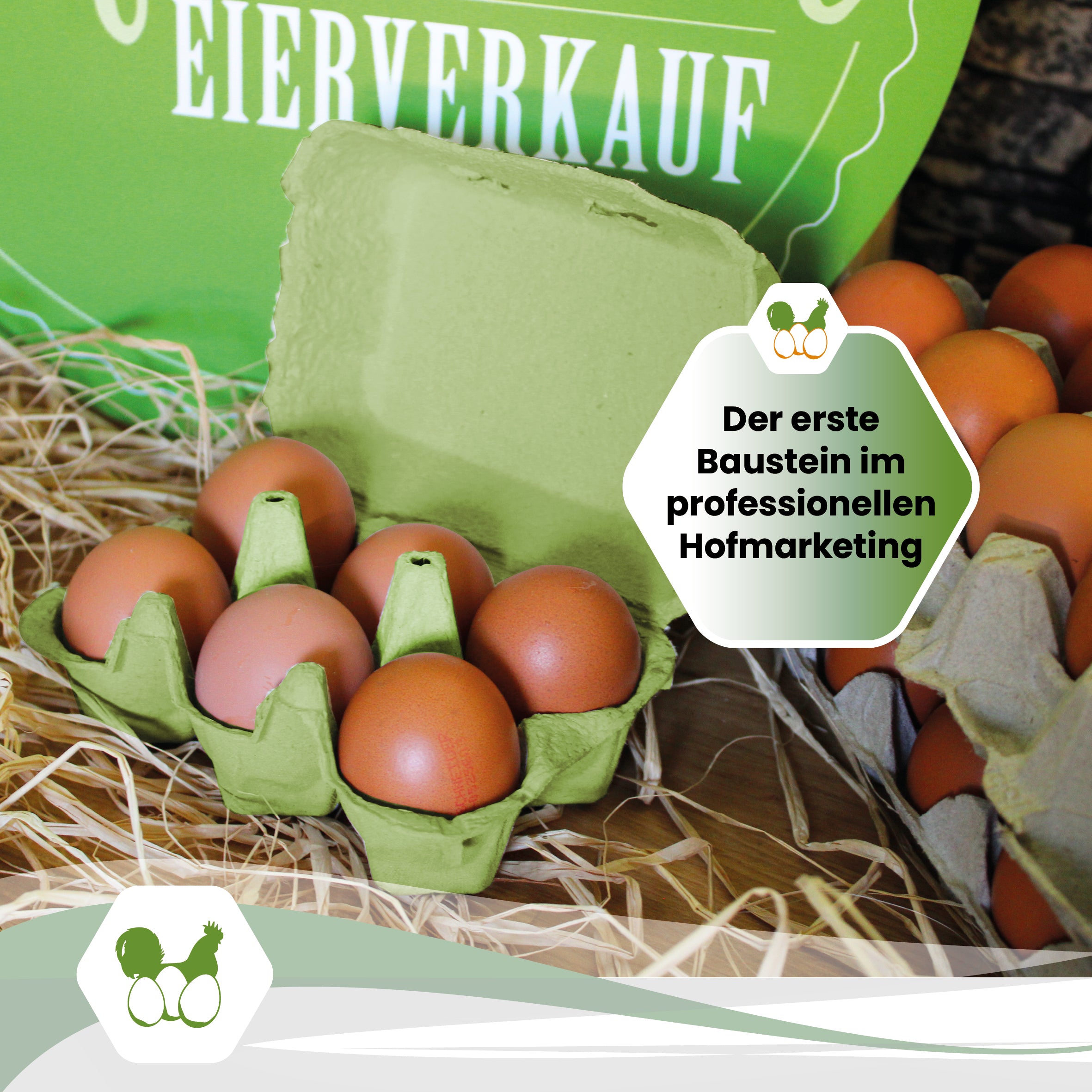 6er PlusPack mit eigenem Etikett, grün "Der erste Baustein im professionellen Hofmarketing"