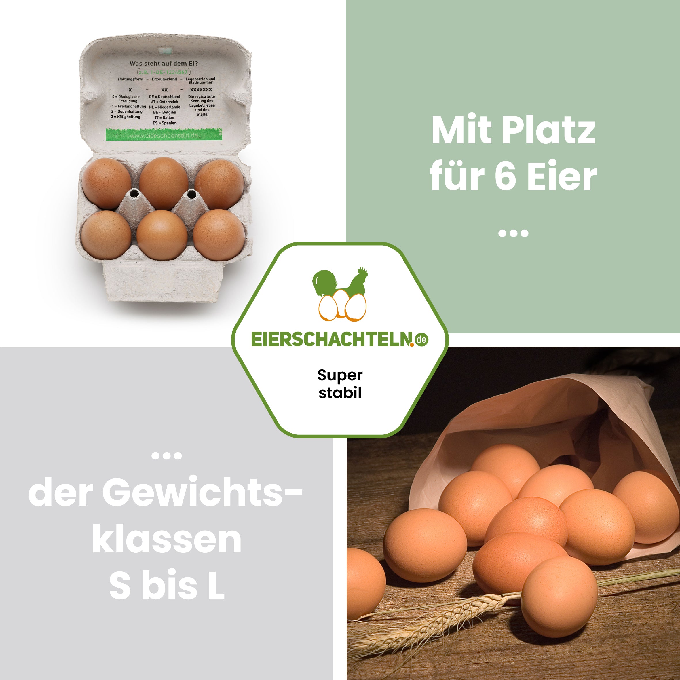 6er Compac Eierschachteln mit Etikett Naturland "Mit Platz für 6 Eier der Gewichtsklassen S bis L"