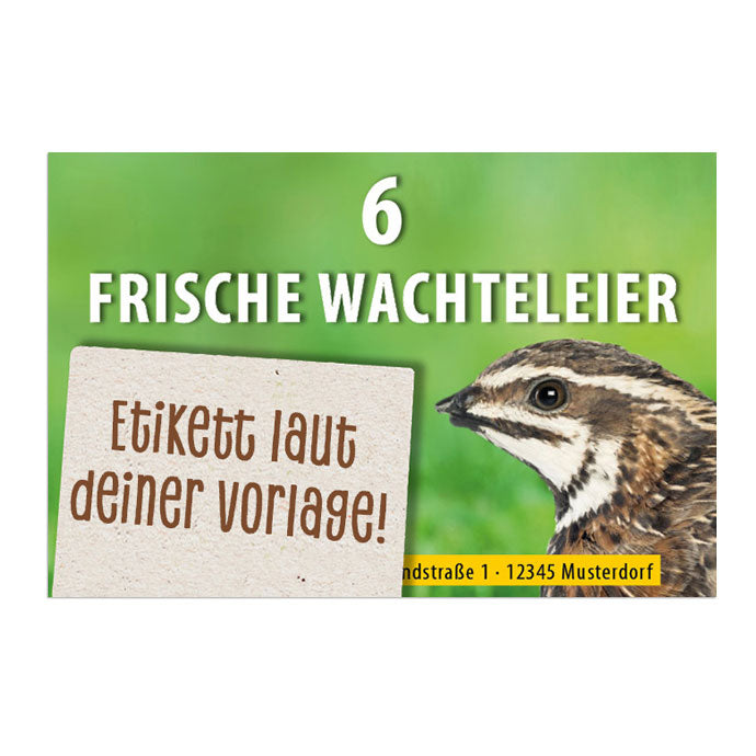 6er Wachtel-Eierschachtel-Etiketten laut deiner Druckvorlage