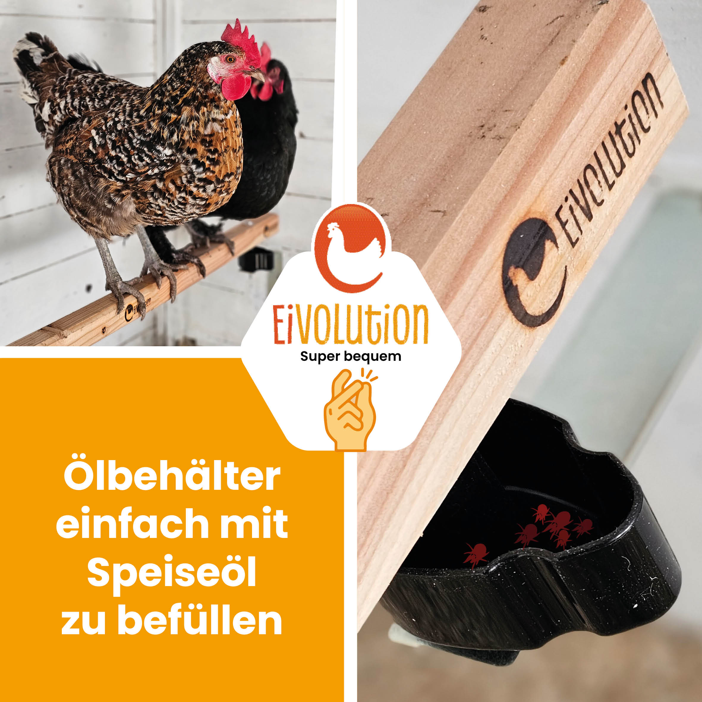 Sitzstange mit Anti-Milben-Halterung im Set "Ölbehälter einfach mit Speiseöl zu befüllen"