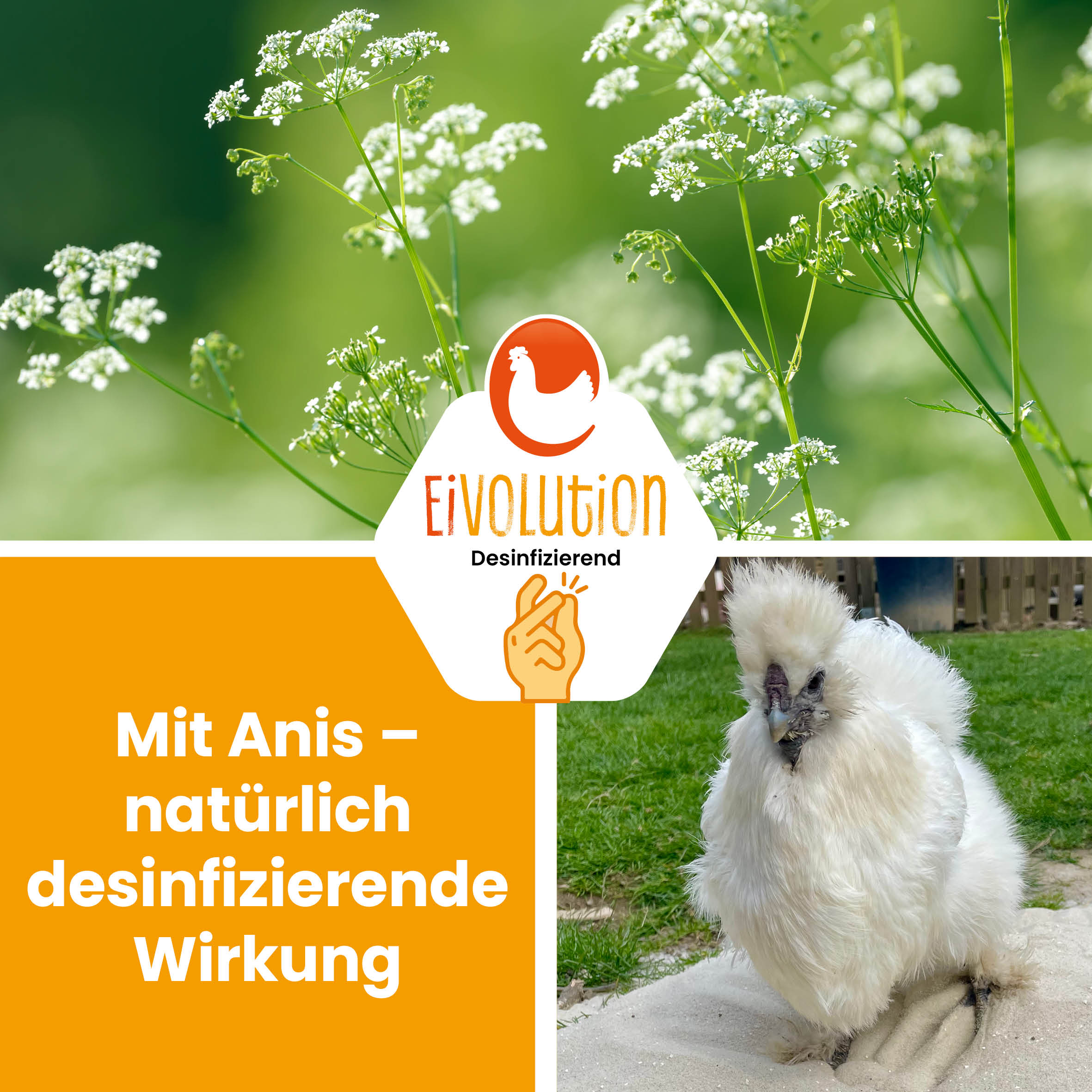 Badesand mit Anis "Mit Anis natürlich desinfizierende Wirkung"