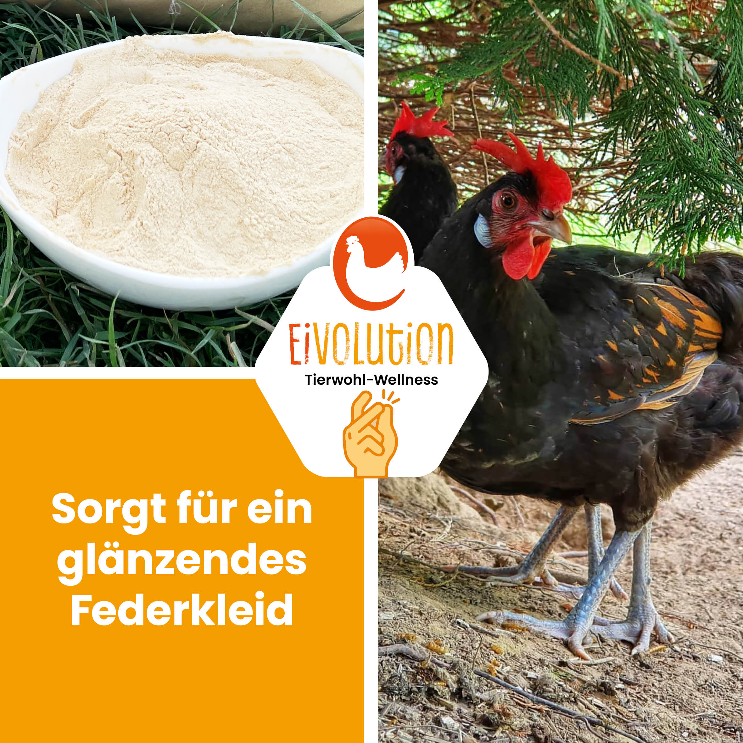 Natürliche Bierhefe "Sorgt für ein glänzendes Federkleid"