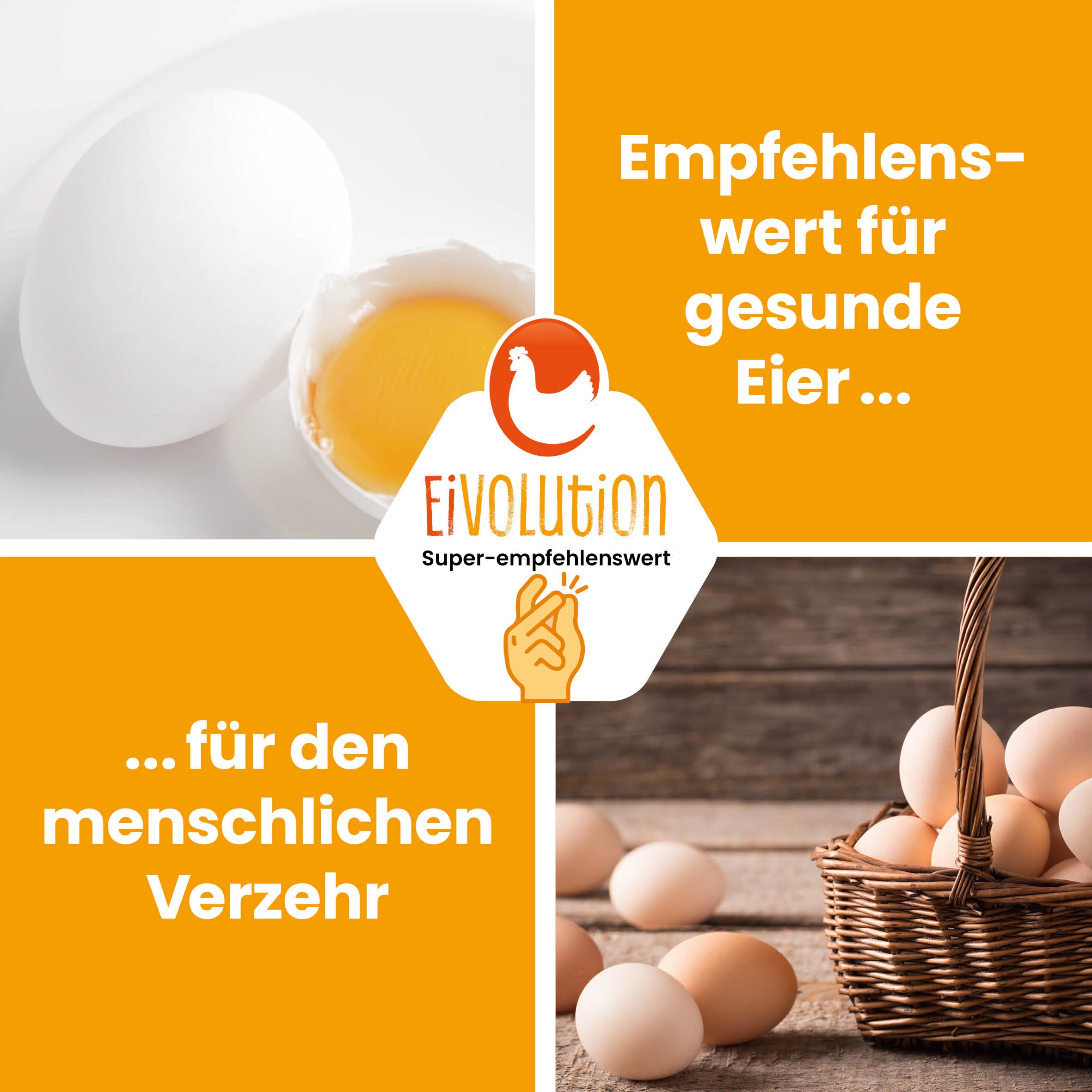 Natürliche Bierhefe "Empfehlenswert für gesunde Eier für den menschlichen Verzehr"