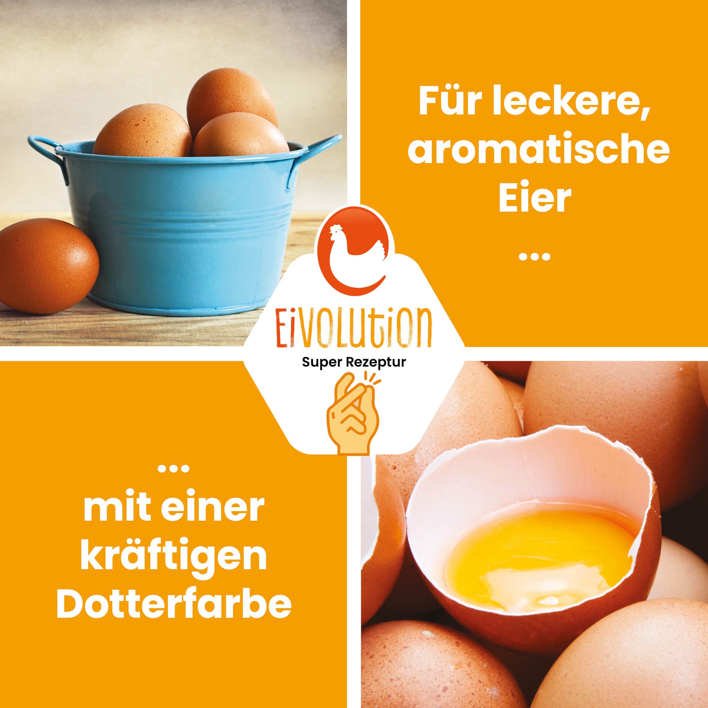 Bio Hühnerfutter Mehl "Für leckere, aromatische Eier mit einer kräftigen Dotterfarbe"
