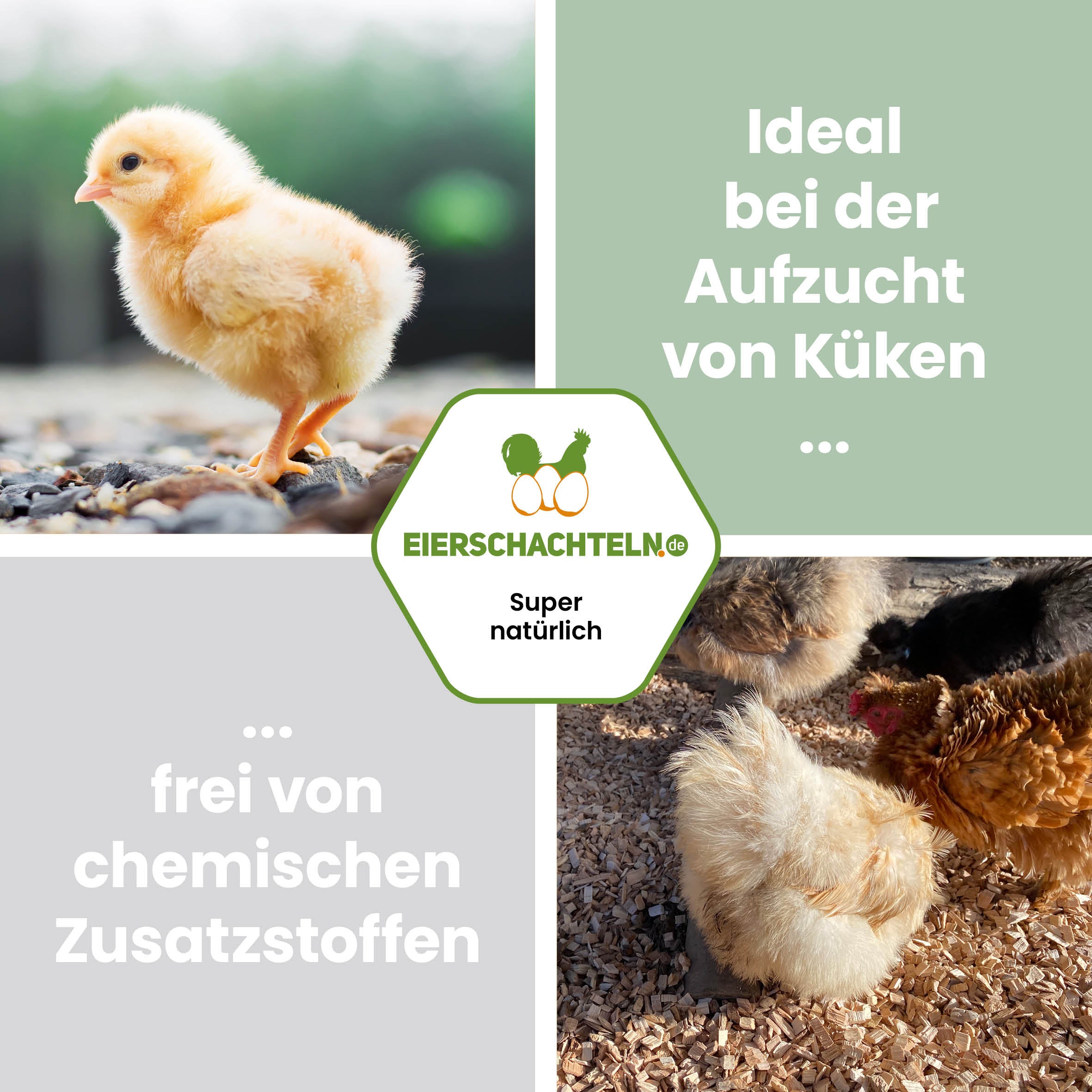 Buchenhack Einstreu für Stall & Voliere - 5 oder 15 kg