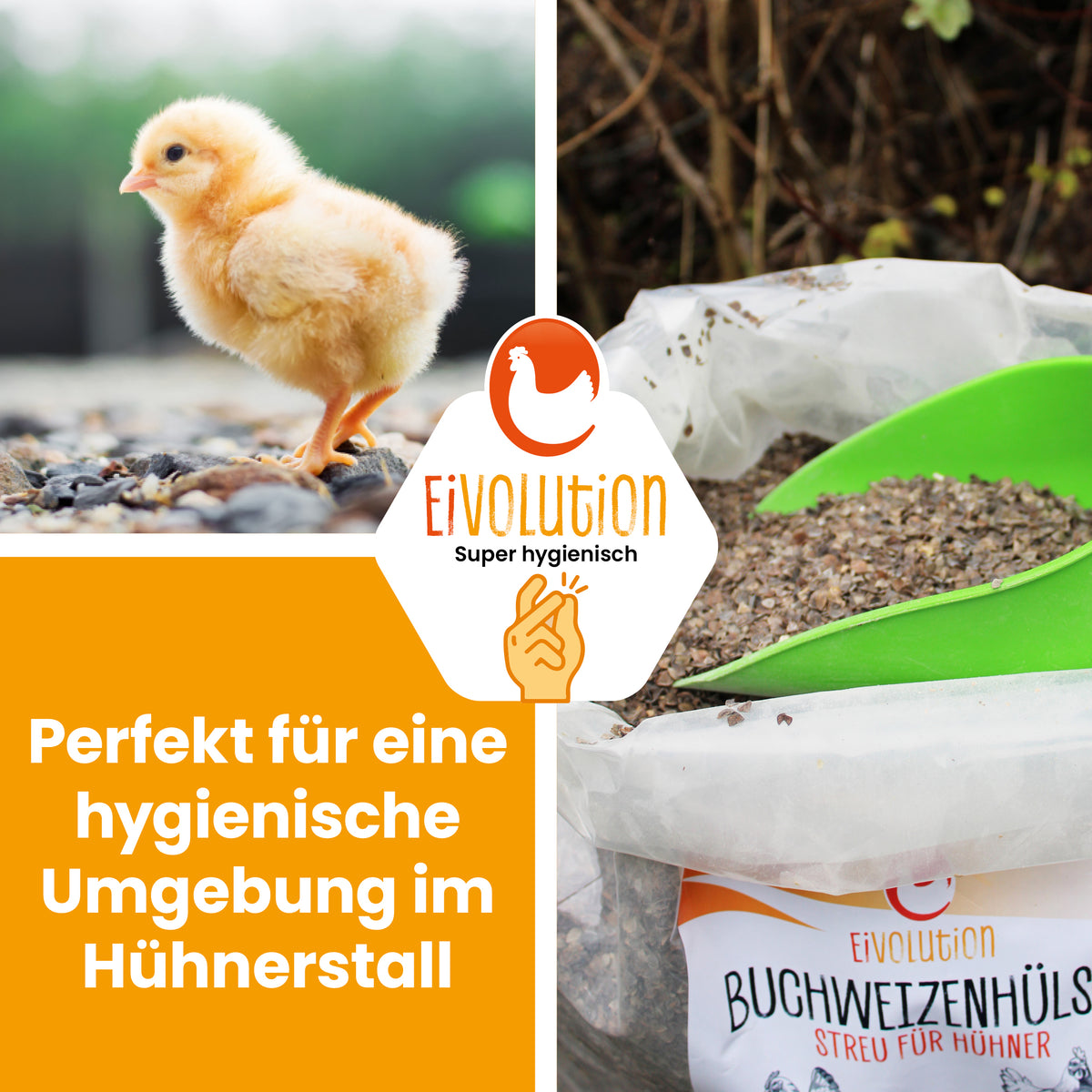 Buchweizenhülsen-Streu "Perfekt für eine hygienische Umgebung im Hühnerstall"