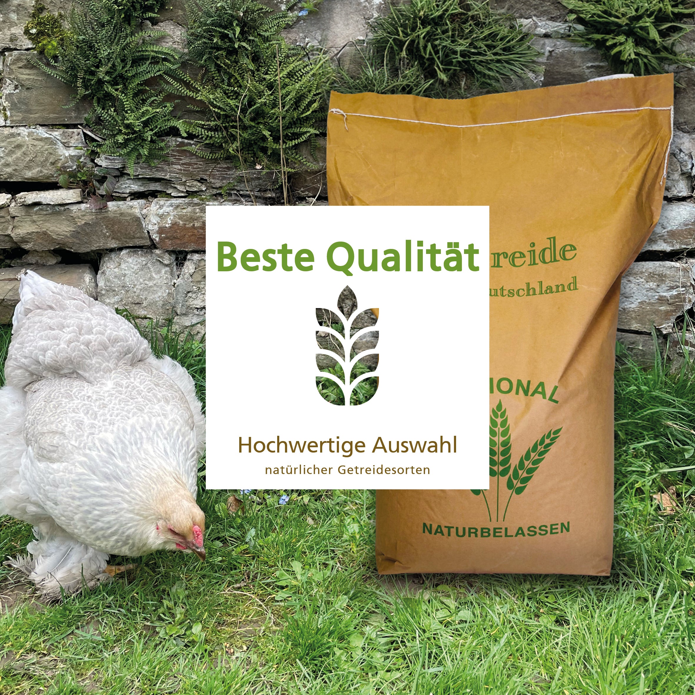 Geflügelkörnerfutter von Carl Wolf "Beste Qualität"