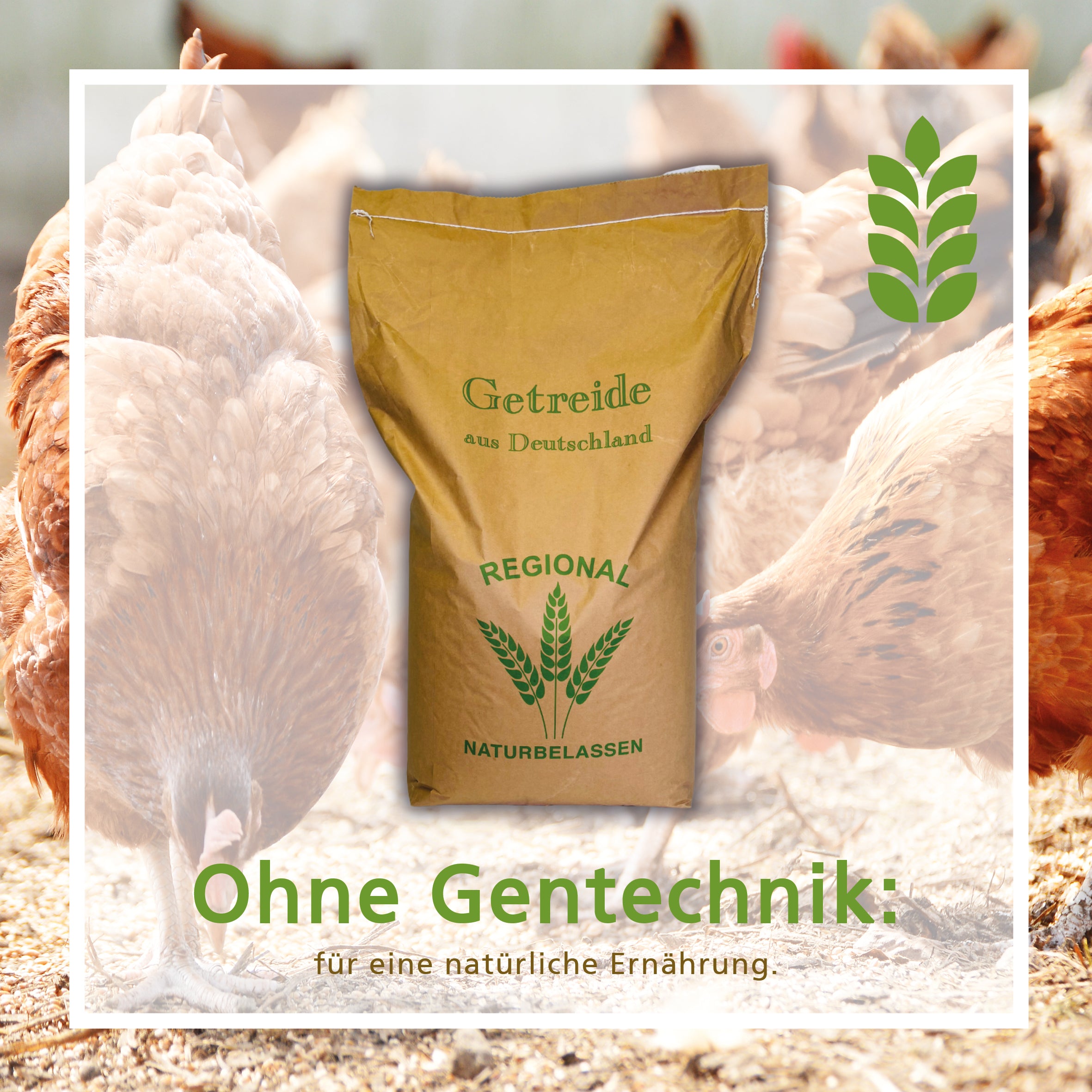 Geflügelkörnerfutter von Carl Wolf "Ohne Gentechnik"