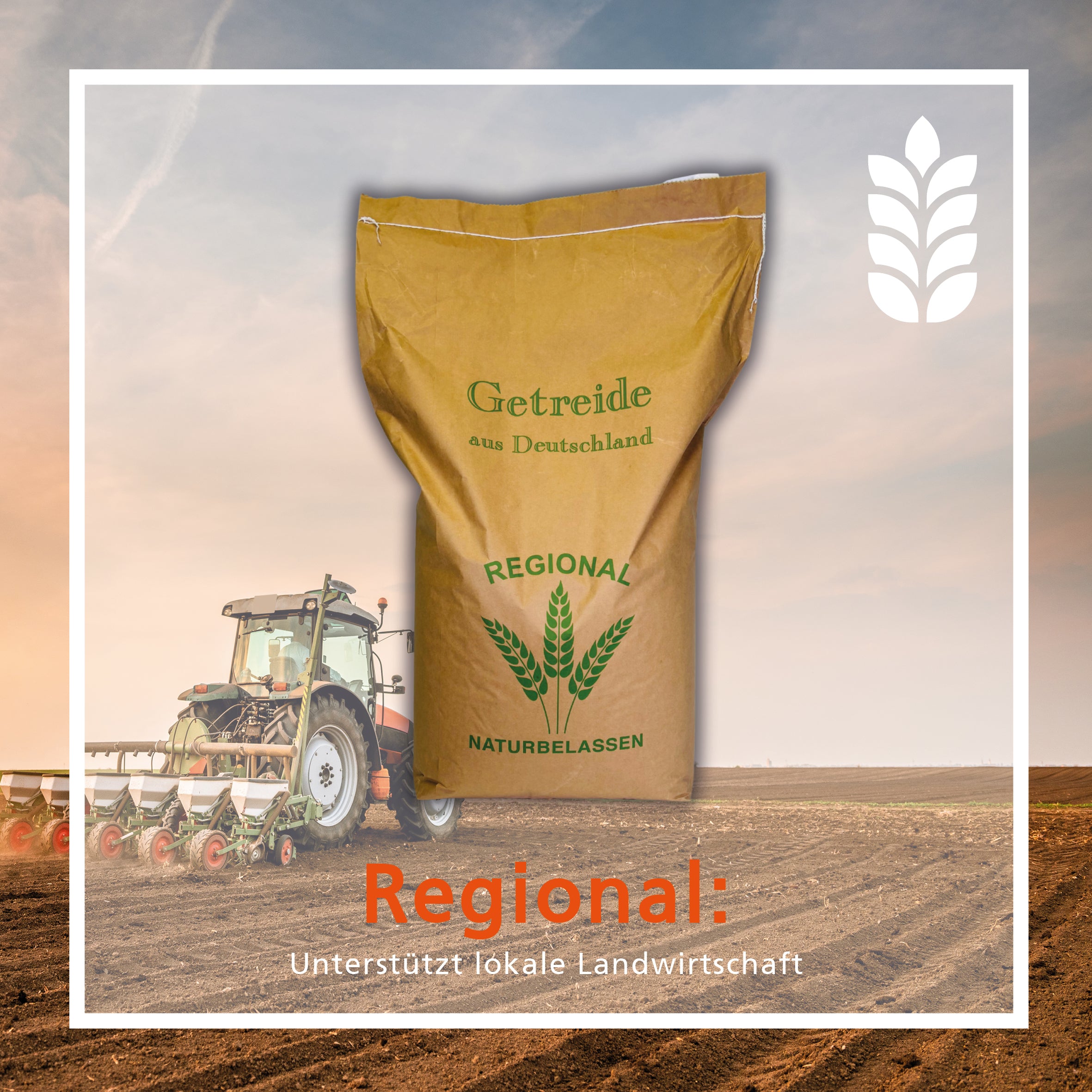 Geflügelkörnerfutter von Carl Wolf "Regional"