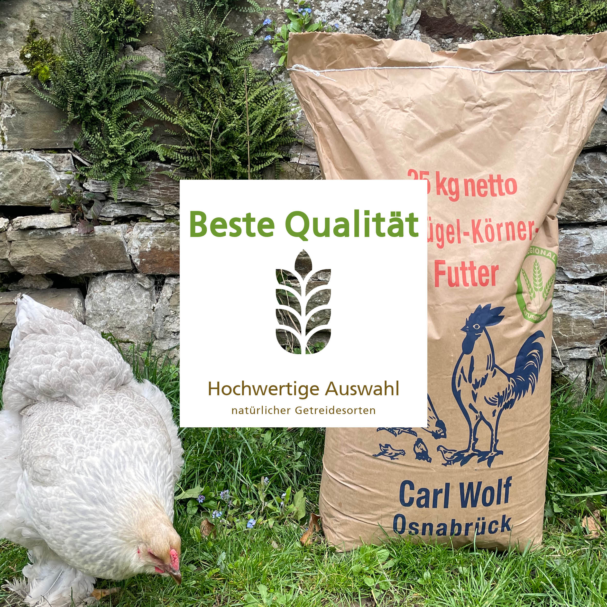 Geflügelkörnerfutter von Carl Wolf "Beste Qualität, Hochwertige Auswahl natürlicher Getreidesorten"