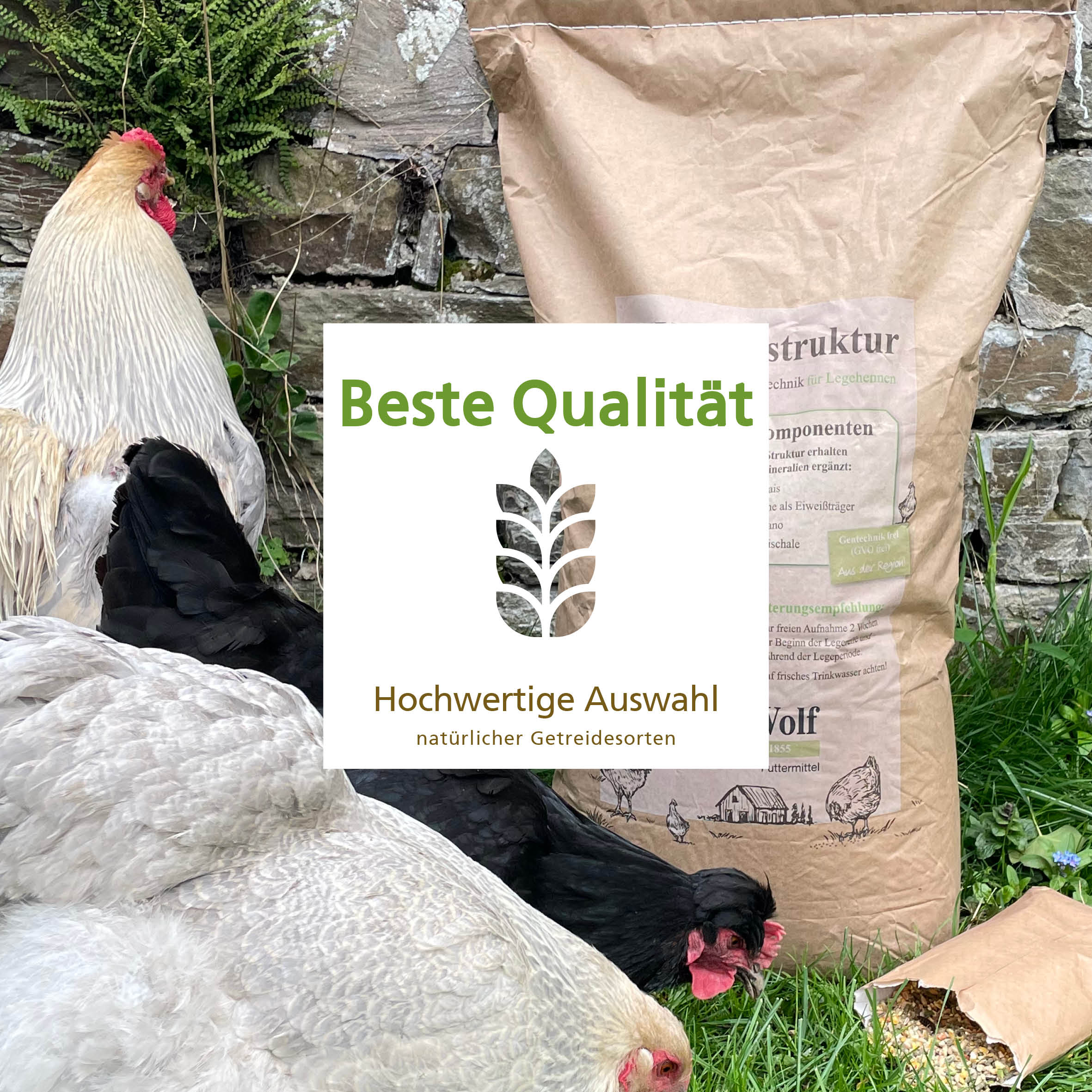 Carl Wolf Legestruktur "Hochwertige Auswahl für natürlicher Getreidesorten"