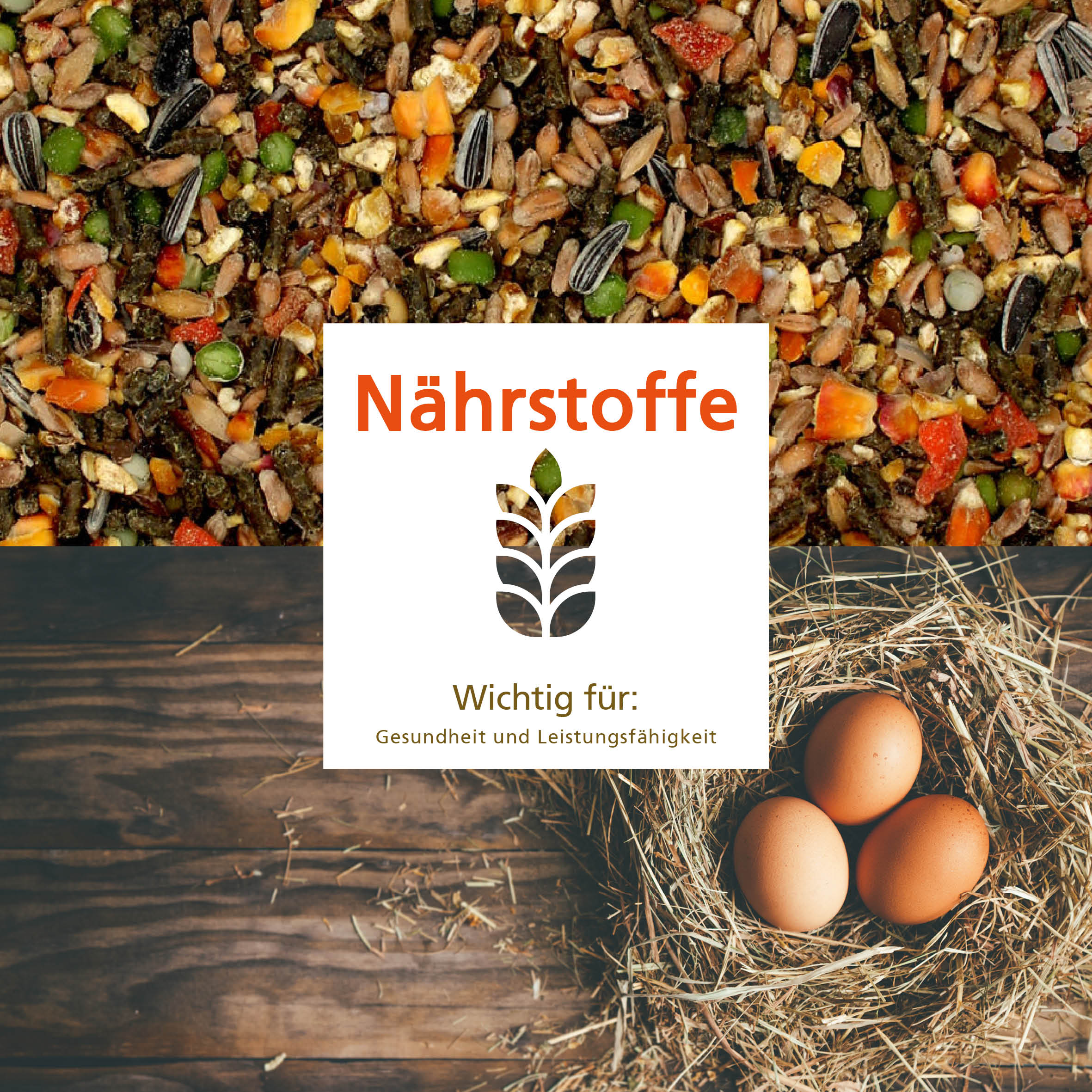 Carl Wolf Legestruktur "Wichtig für: Gesundheit und Leistungsfähigkeit"