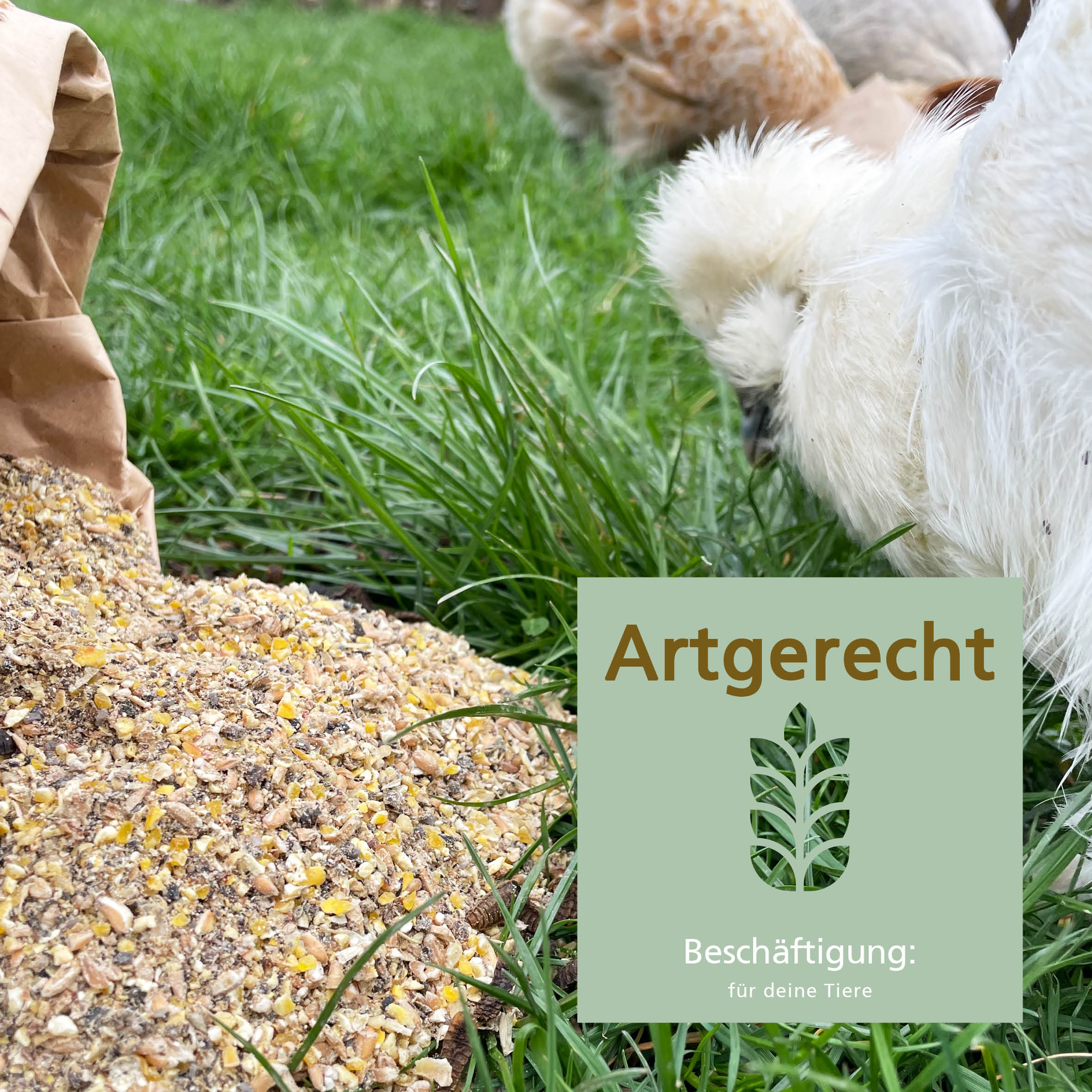 Carl Wolf Lege Komplett - Artgerecht, Beschäftigung für deine Tiere