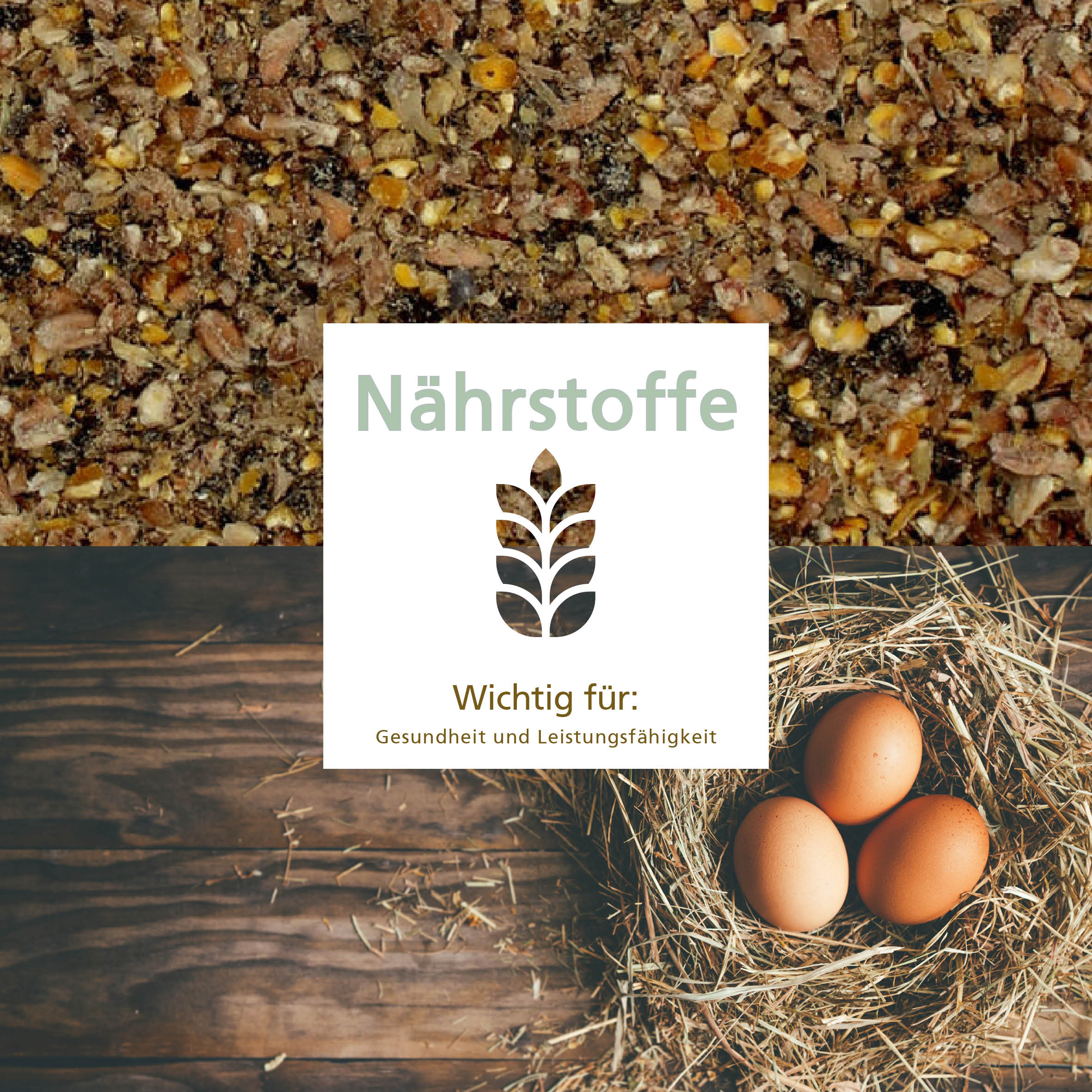 Carl Wolf Lege Komplett - Nährstoffe, wichtig für: Gesundheit und Leistungsfähigkeit