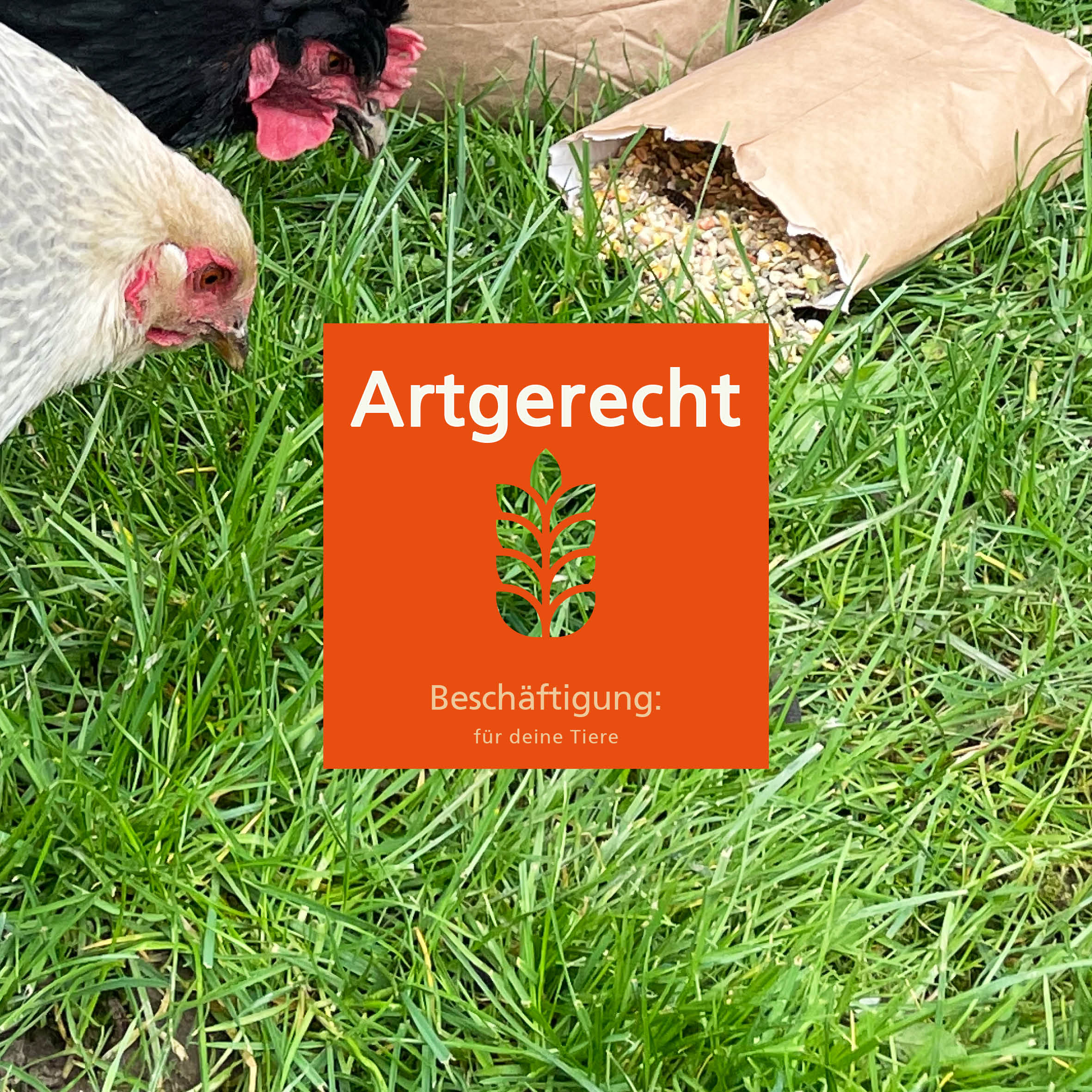 Carl Wolf Legestruktur – Strukturreiches Alleinfutter für Legehennen – 36 × 20 kg Palette