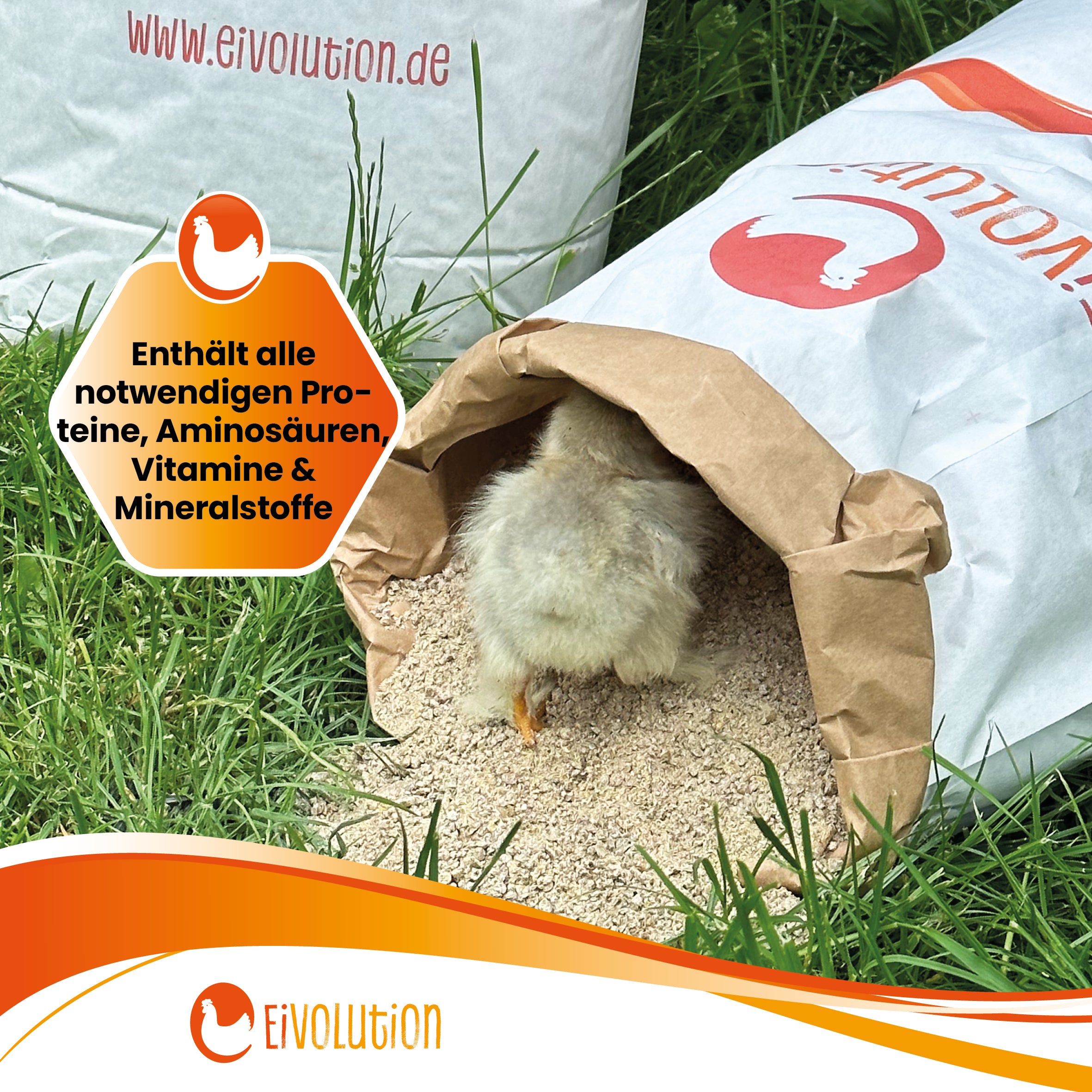 Proteinreiches Bio-Aufzuchtfutter "Enthält alle notwendigen Proteine, Aminosäuren, Vitamine & Mineralstoffe"