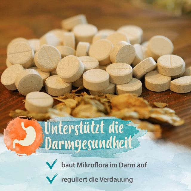 Darmbiotic "Unterstützt die Darmgesundheit"