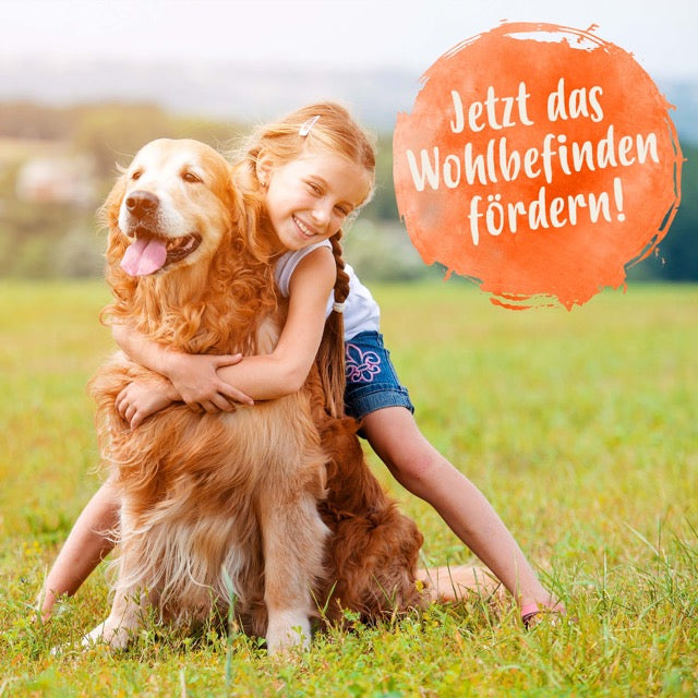 Darmbiotic "Jetzt das Wohlbefinden fördern!"