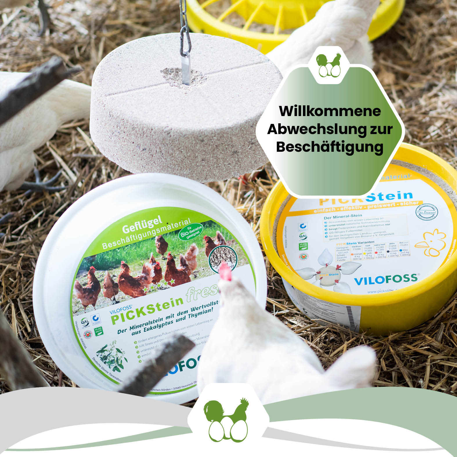 Edelstahlhalterung für gelochte 10 kg Picksteine