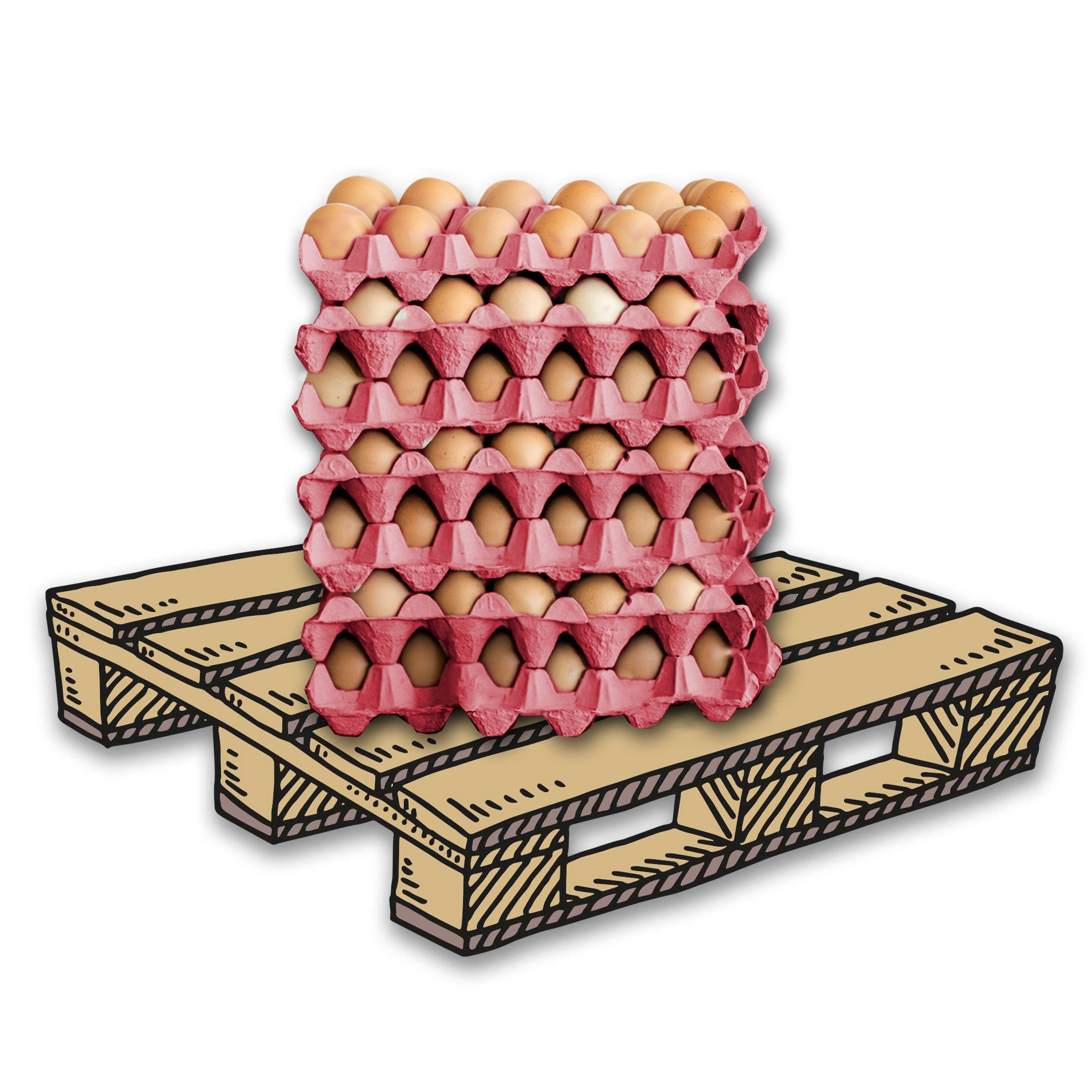 3920 Stück (Palette) 30er Eierpappen Pink – Höckerlagen für S bis XL