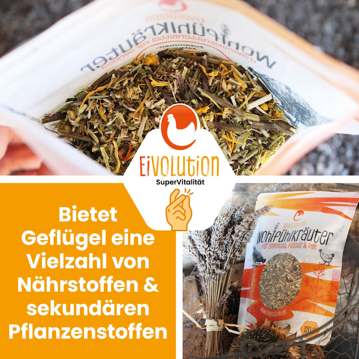 Wohlfühlkräuter für Nest, Tee und Futter "Bietet Geflügel eine Vielzahl von Nährstoffen & sekundären Pflanzenstoffen"