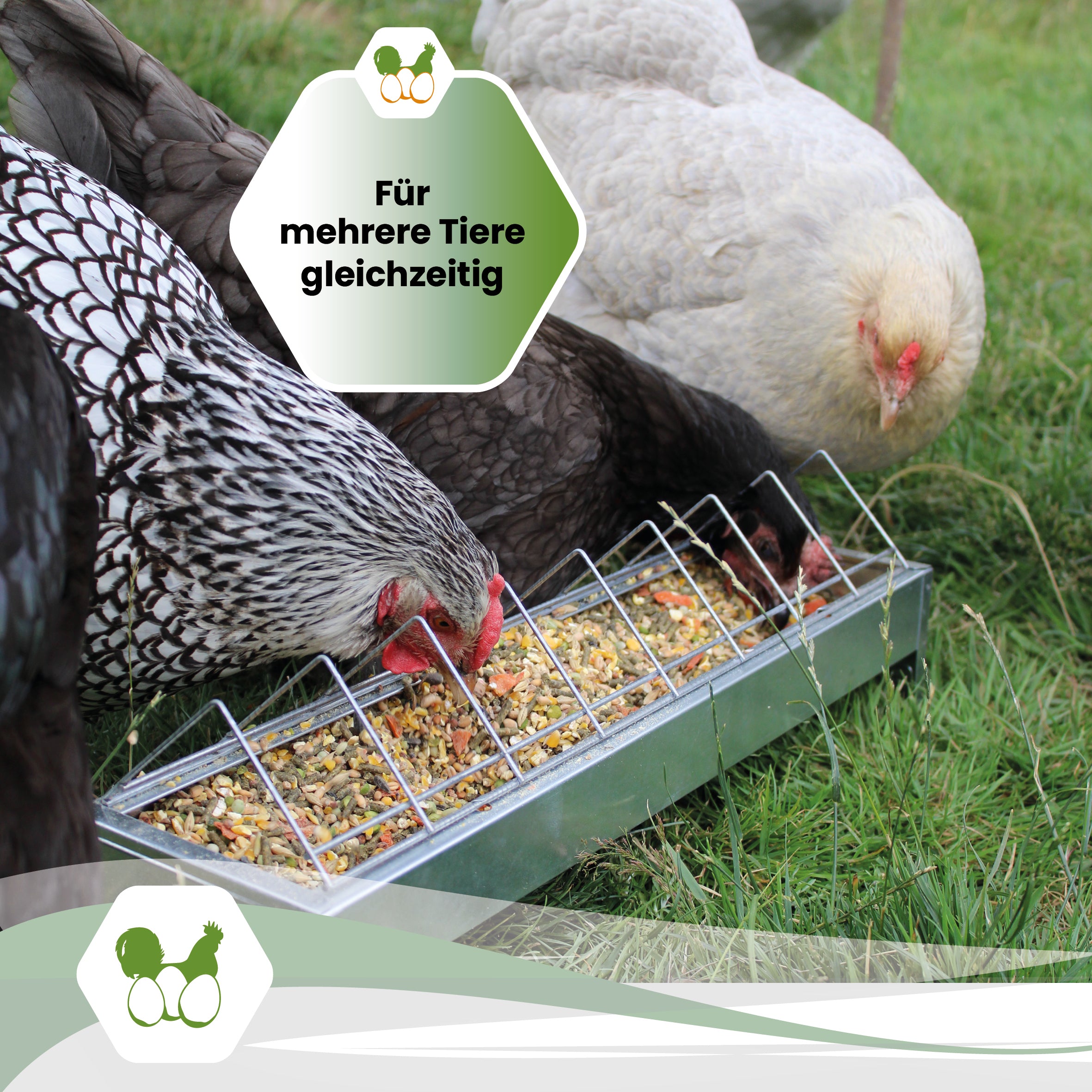 Graue Futterrinne aus Metall, 50 cm "Für mehrere Tiere gleichzeitig"